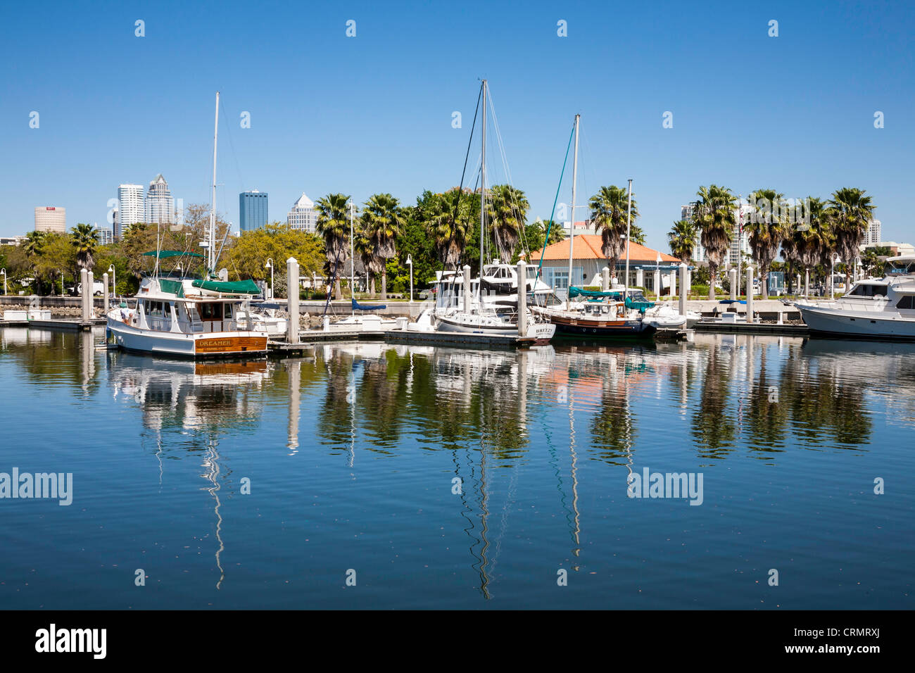 Marjorie Park Yacht Basin with Tampa skyline in back, Tampa, Florida Stock Photo