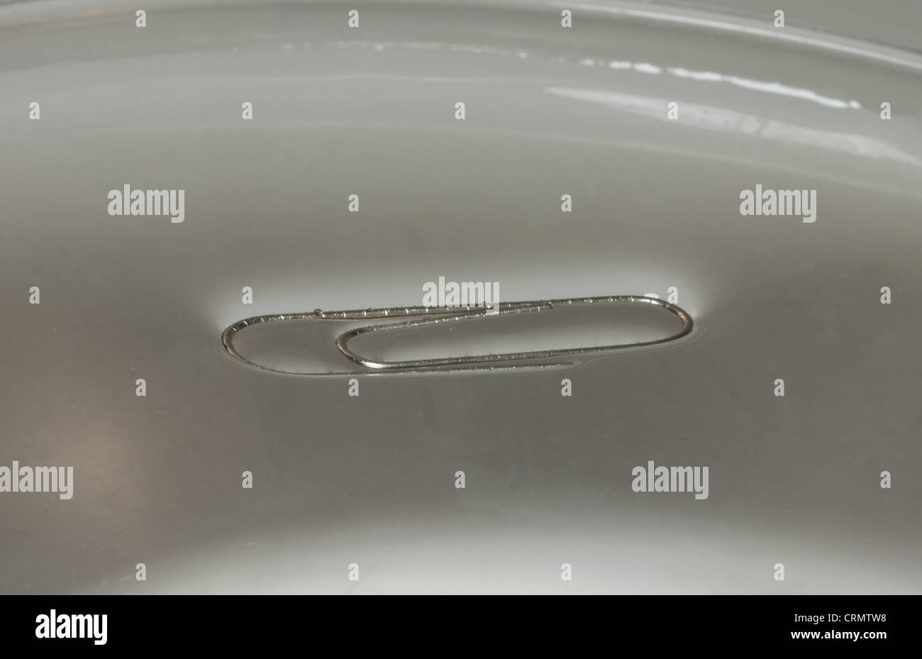 Demonstration of surface tension a paperclip floating on water Stock
