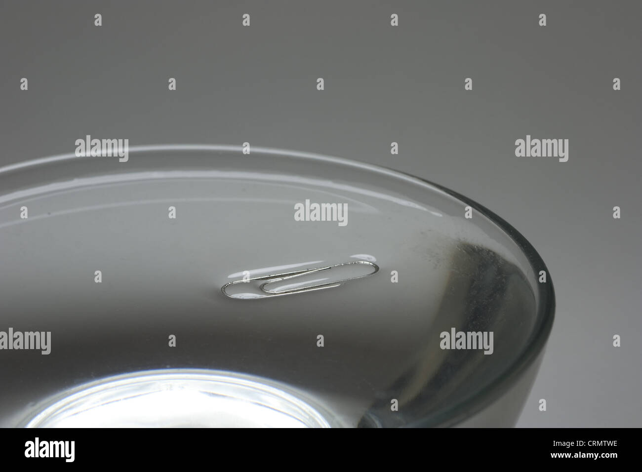 Demonstration of surface tension a paperclip floating on water Stock