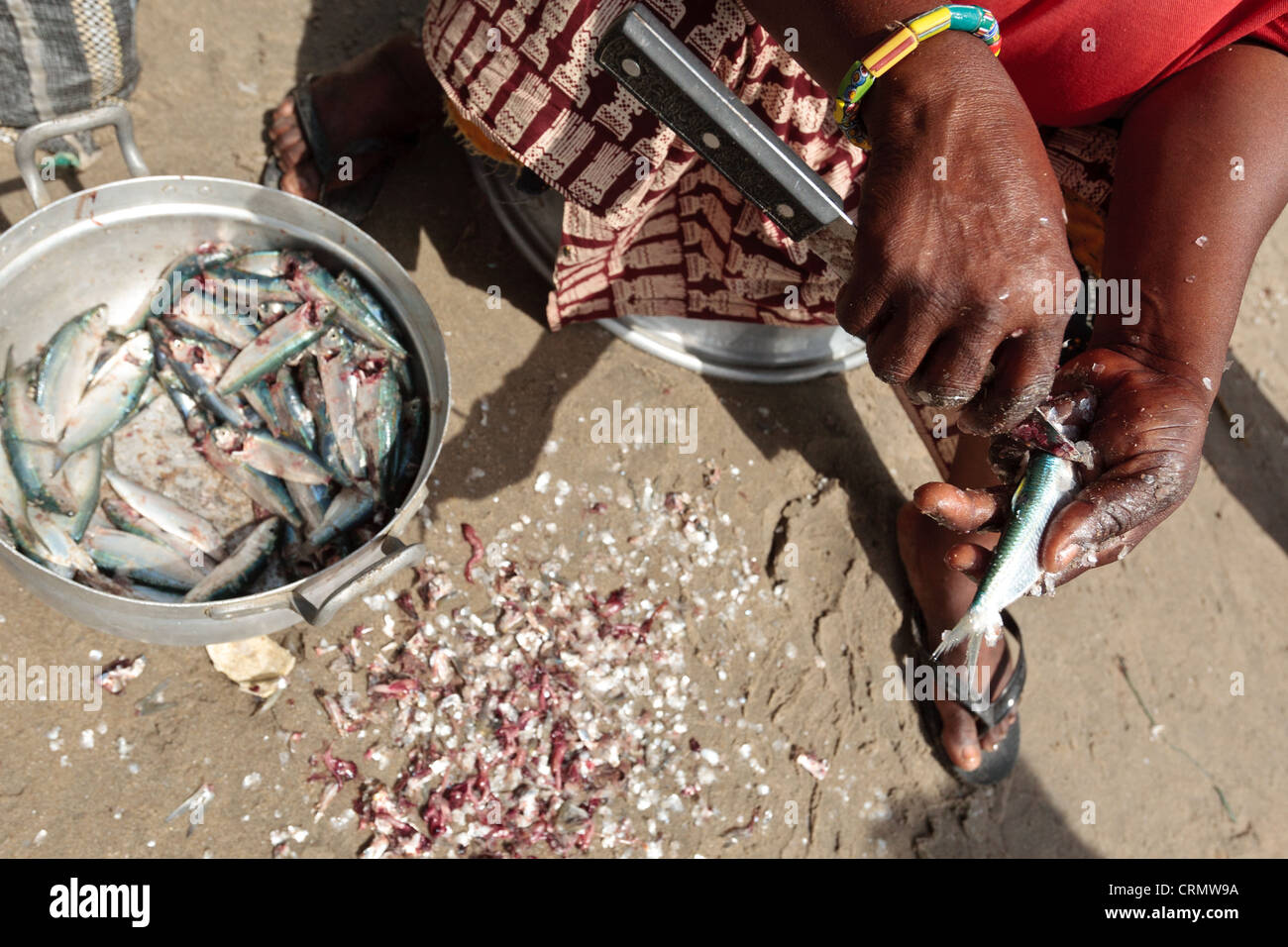 Woman scraping scales off fish in Cape Coast, Ghana. Stock Photo