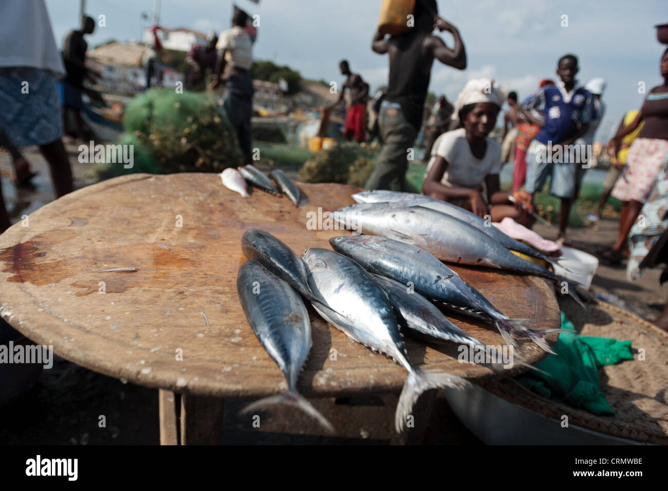 Fish is laid out for sale at the market in Elmina, about 130km west of Ghana's capital Accra on Thursday April 9, 2009. Stock Photo