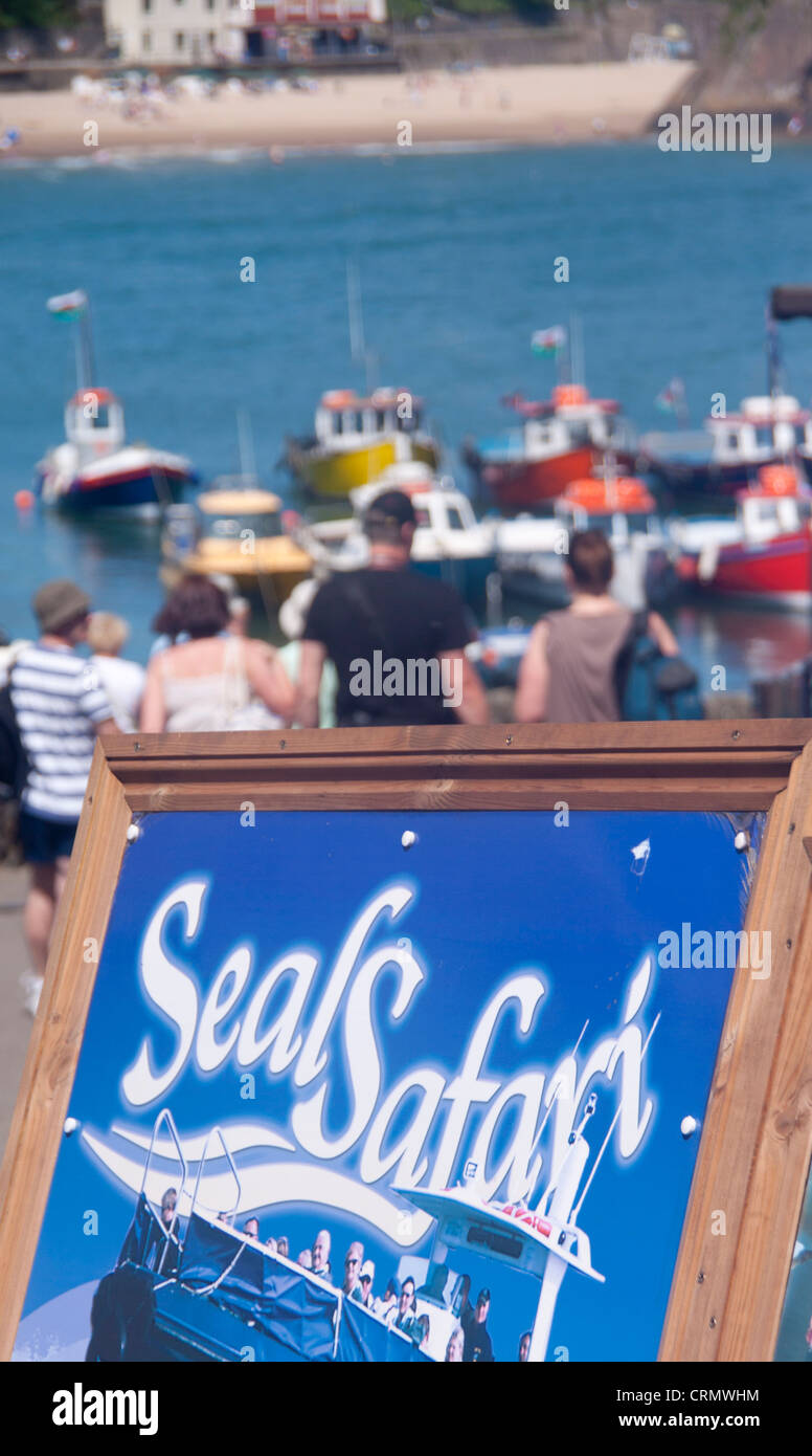 Sea Safari poster advertising boat trips with people, boats and harbour in background Tenby Pembrokeshire West Wales UK Stock Photo