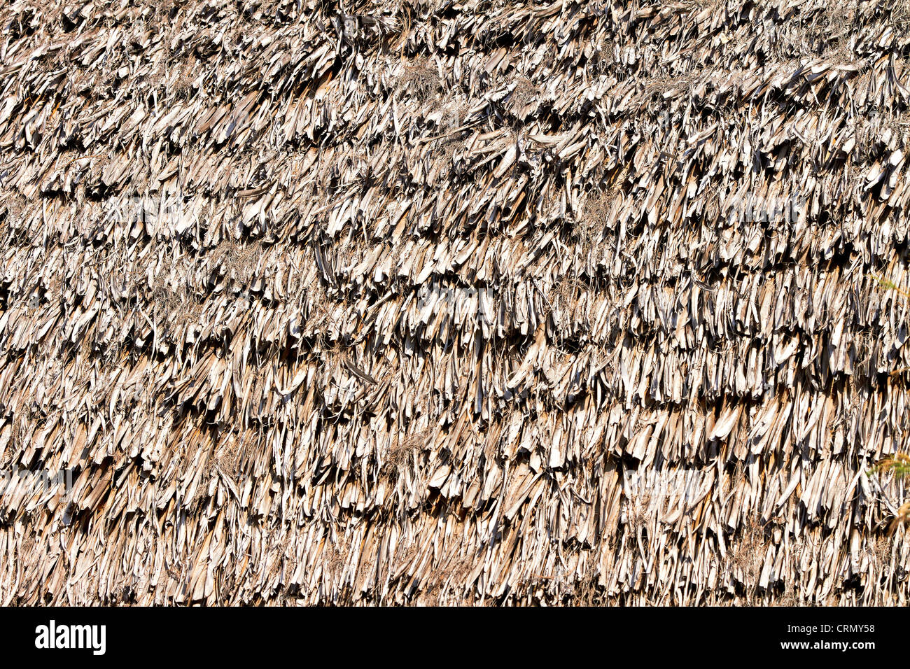 Palm Leaf Thatched Roof High Resolution Stock Photography And Images Alamy