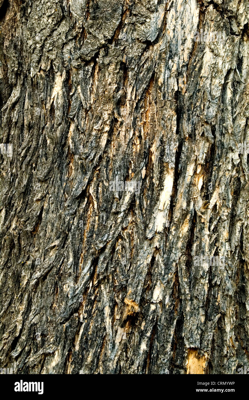 national electrical code book free