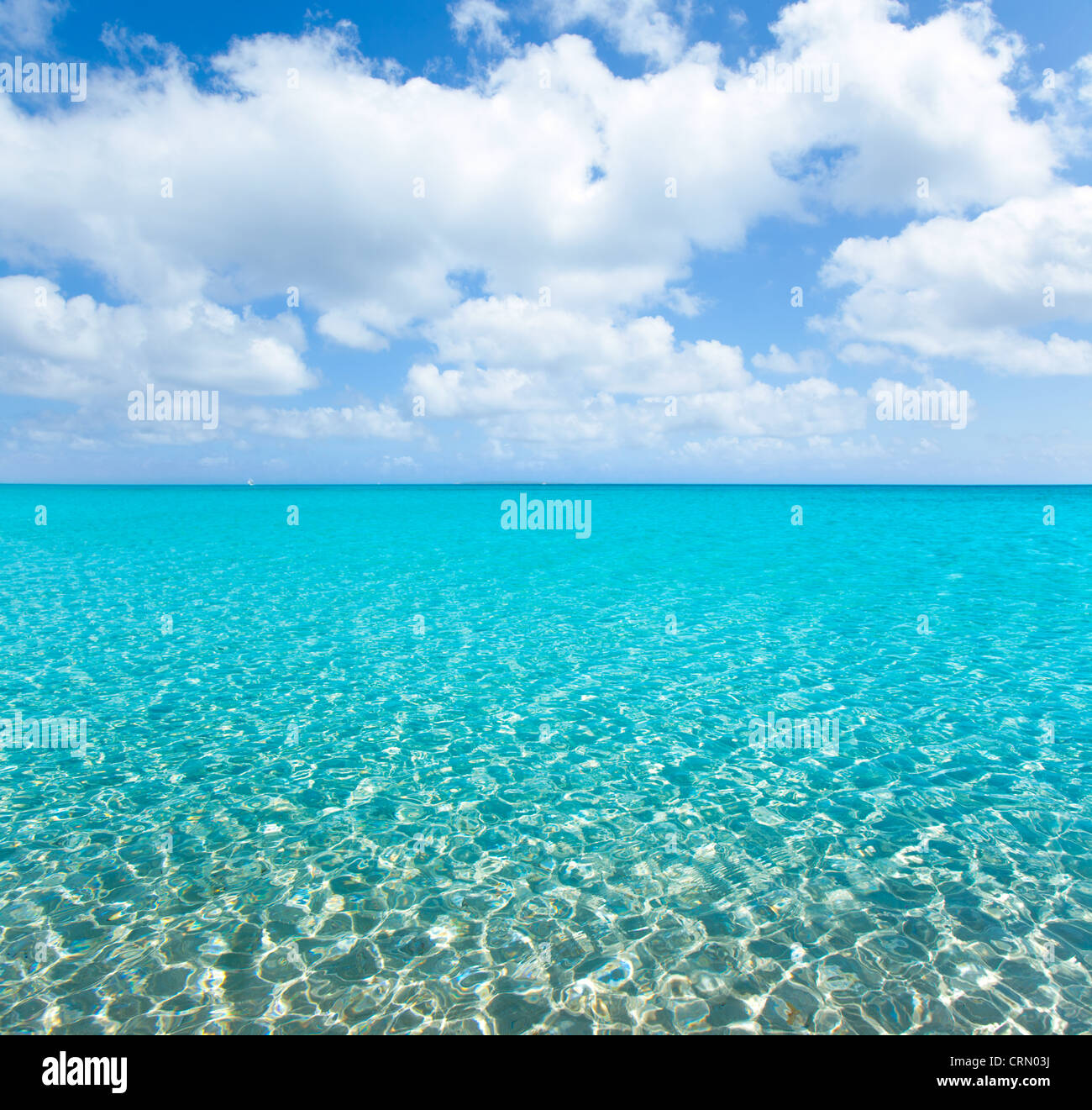 Transparent sea water under blue sky hi-res stock photography and ...