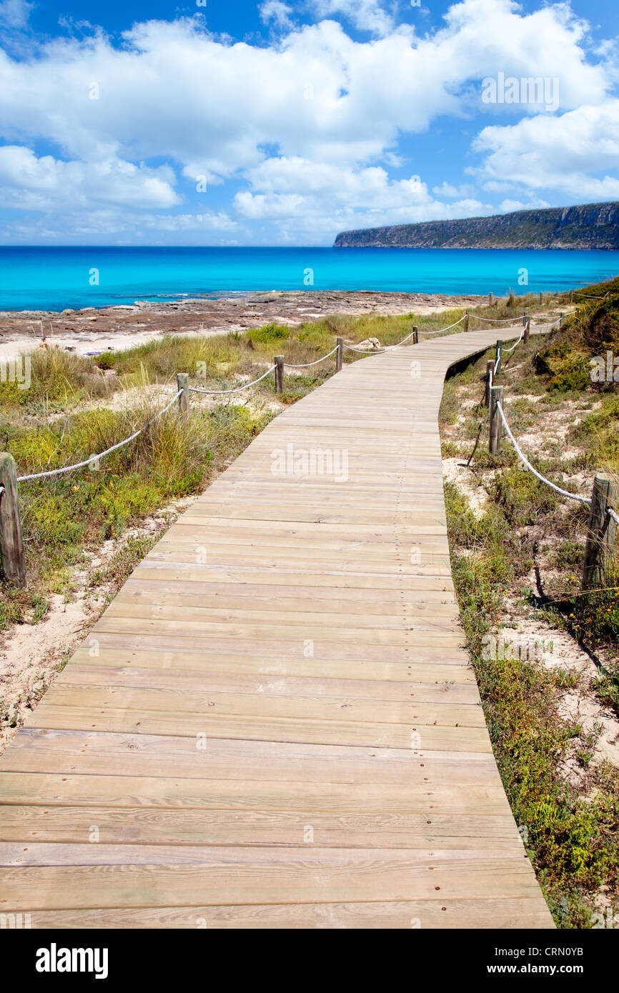 Balearic Formentera island wood beach way on summer day Stock Photo