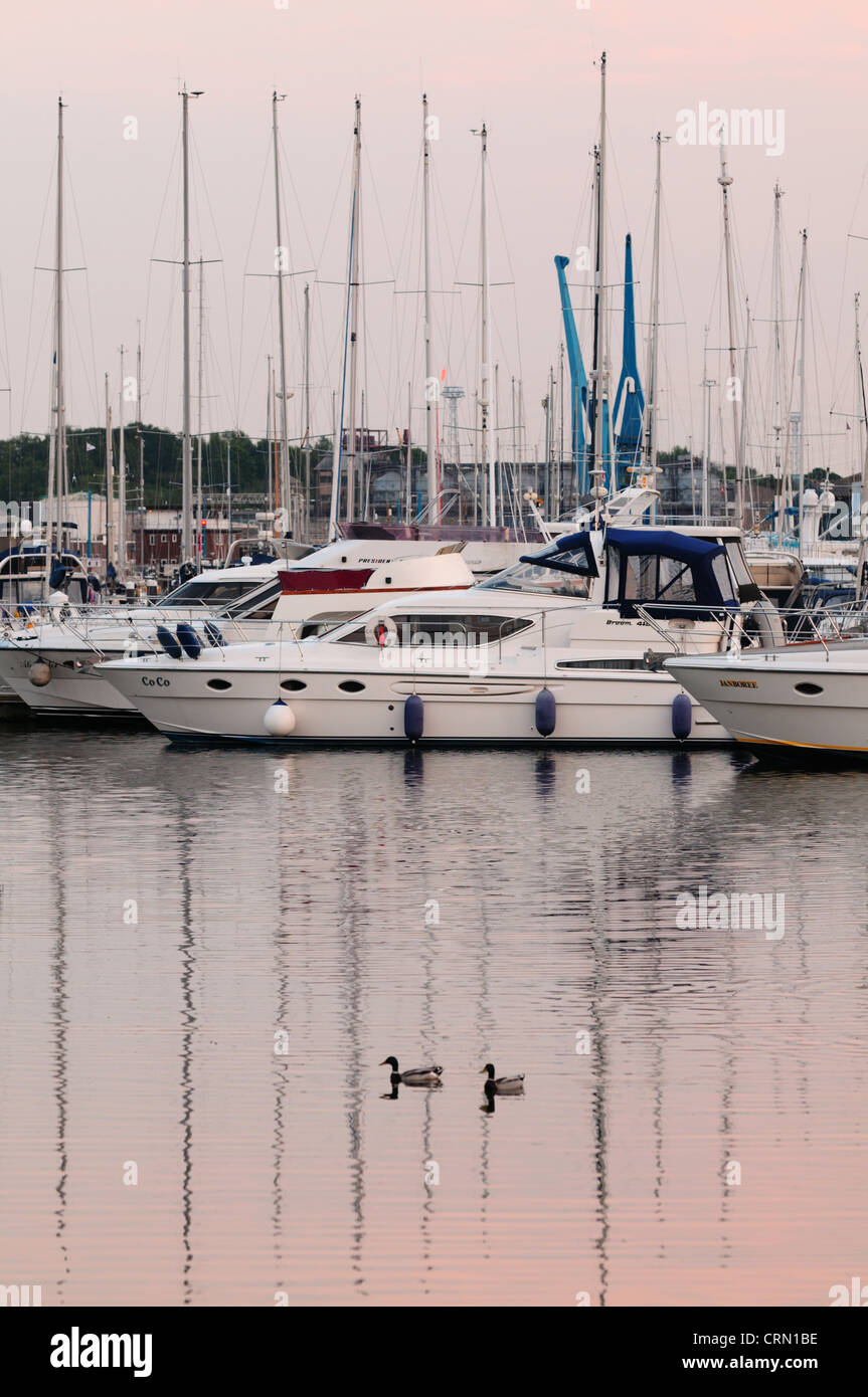 Neptune Marina, Ipswich (old docks), Suffolk Stock Photo Alamy