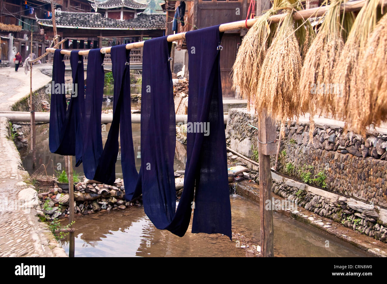 Indigo dyed fabric and rice ears hanging to dry in the sun - Dong village of Zhaoxing, Guizhou province - China Stock Photo
