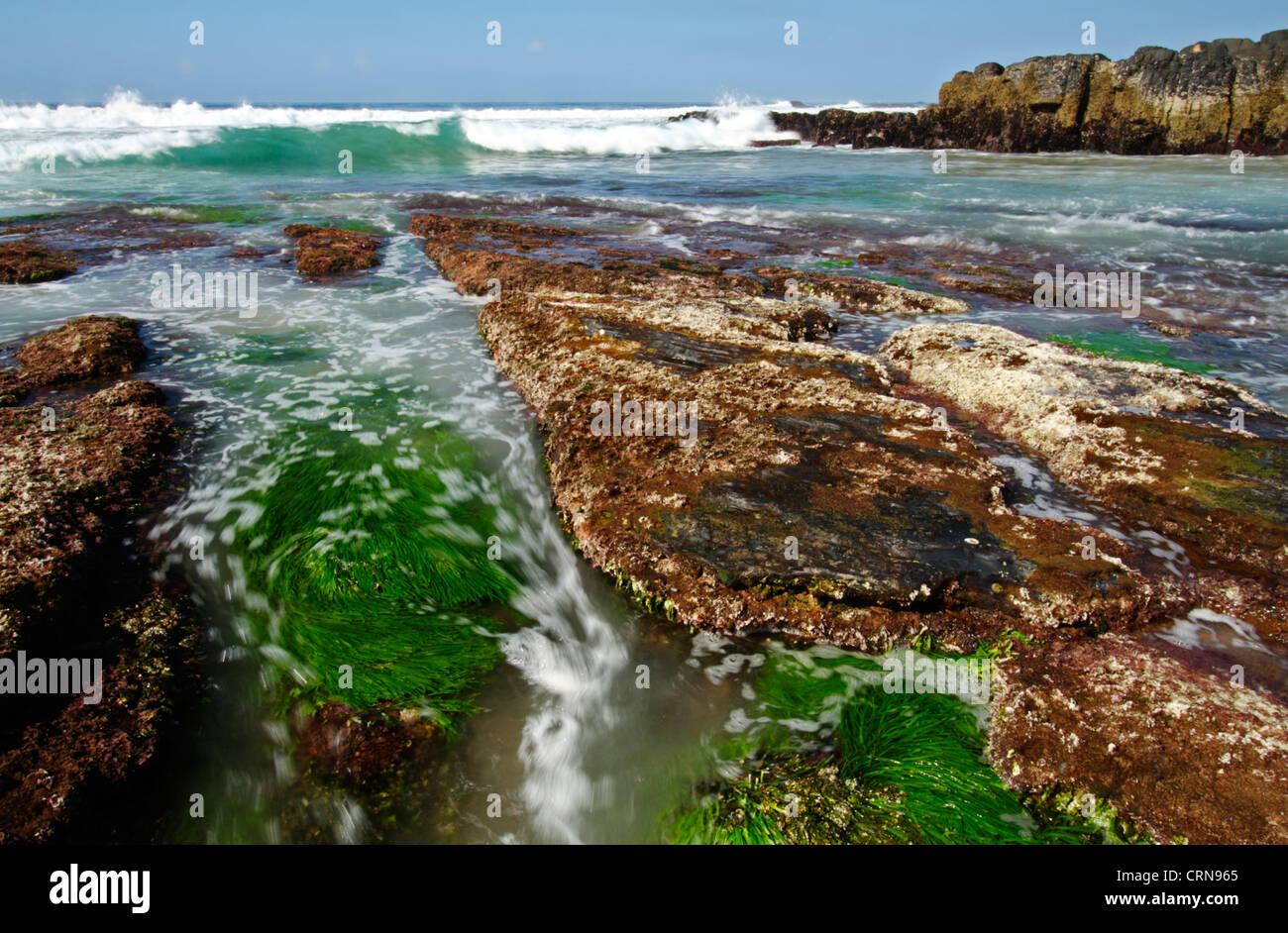 Seaweed at low spring tide, Ballito, Kwazulu Natal, South Africa Stock Photo