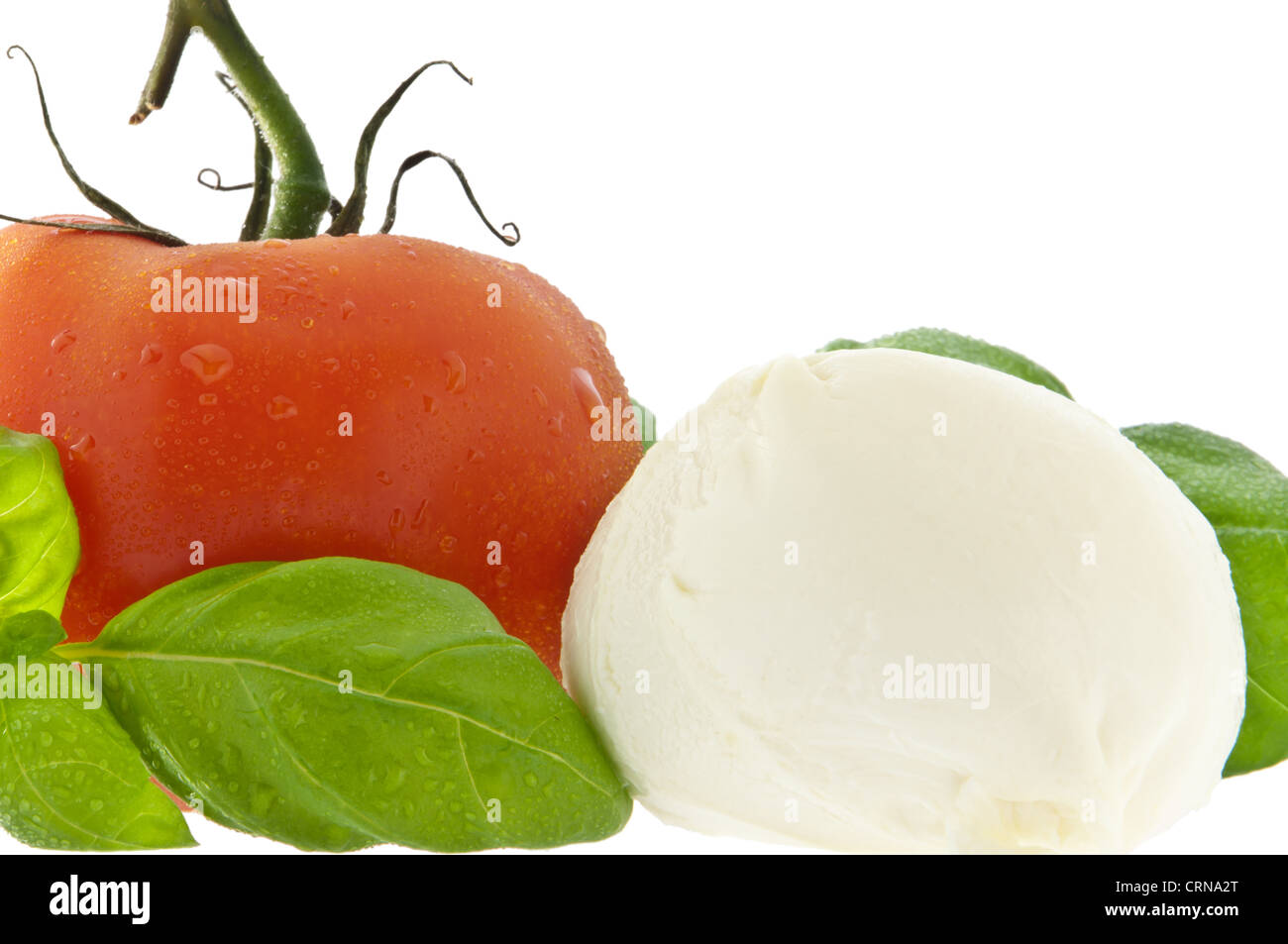 Mozzarella cheese, tomato and fresh basil isolated on white (with