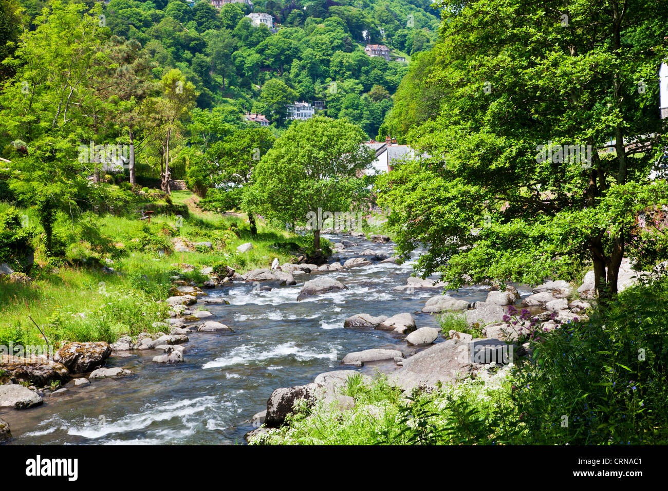 The River Lyn (East) along the path from Watersmeet to Lynmouth, north Devon, England, UK Stock Photo