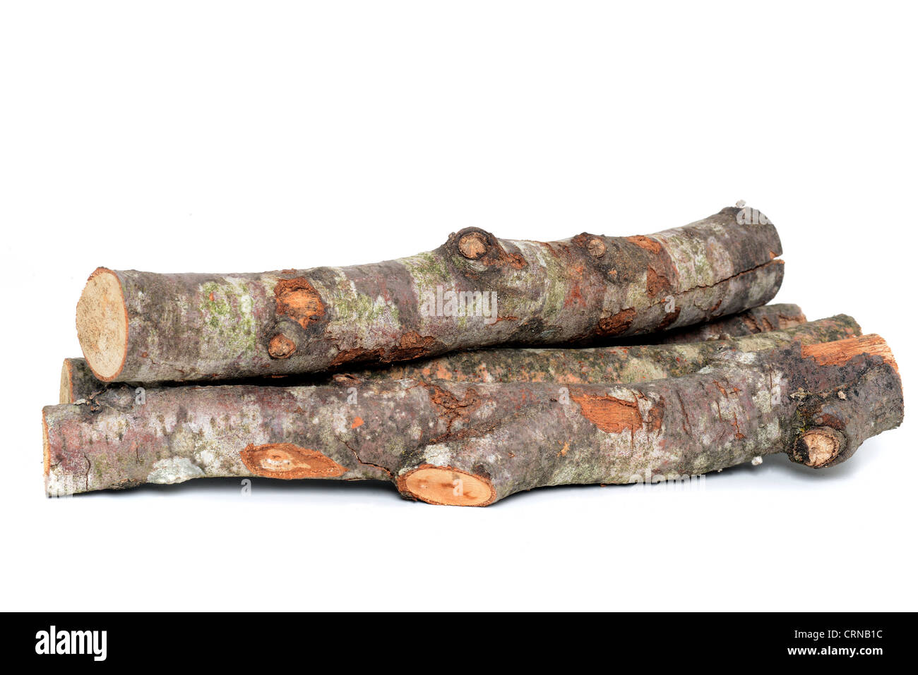 Wood log as fire wood in front of a white background Stock Photo