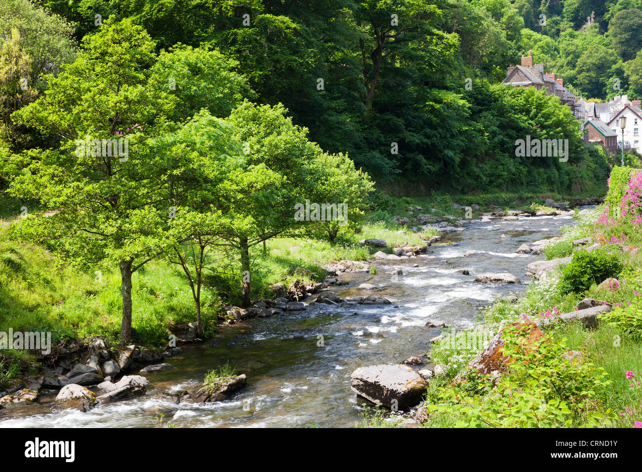 The River Lyn (East) along the path between Watersmeet and Lynmouth, north Devon, England, UK Stock Photo