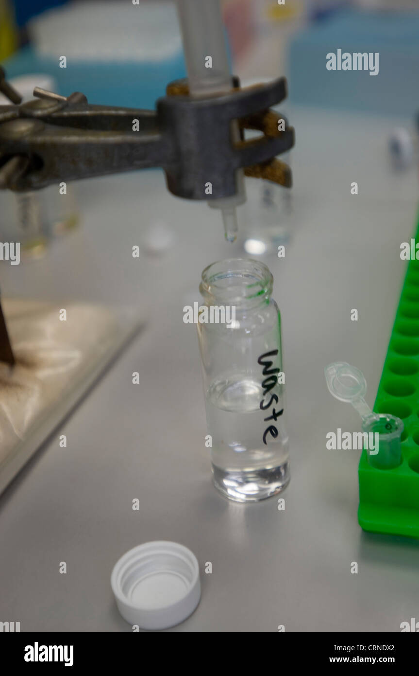 Bacterial test in progress - tested using Buffer Exchange PVCS Stock Photo