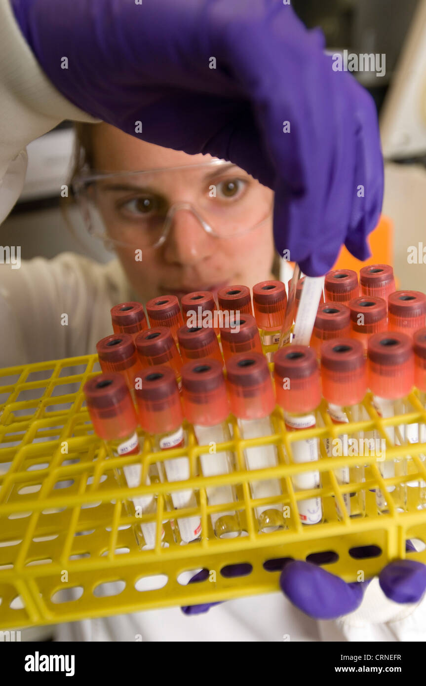 A scientist checks a tray of samples in a lab Stock Photo