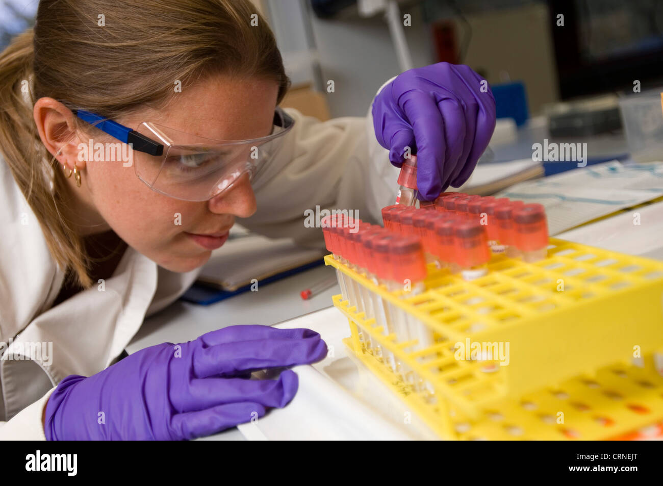 A scientist checks a tray of samples in a lab Stock Photo - Alamy