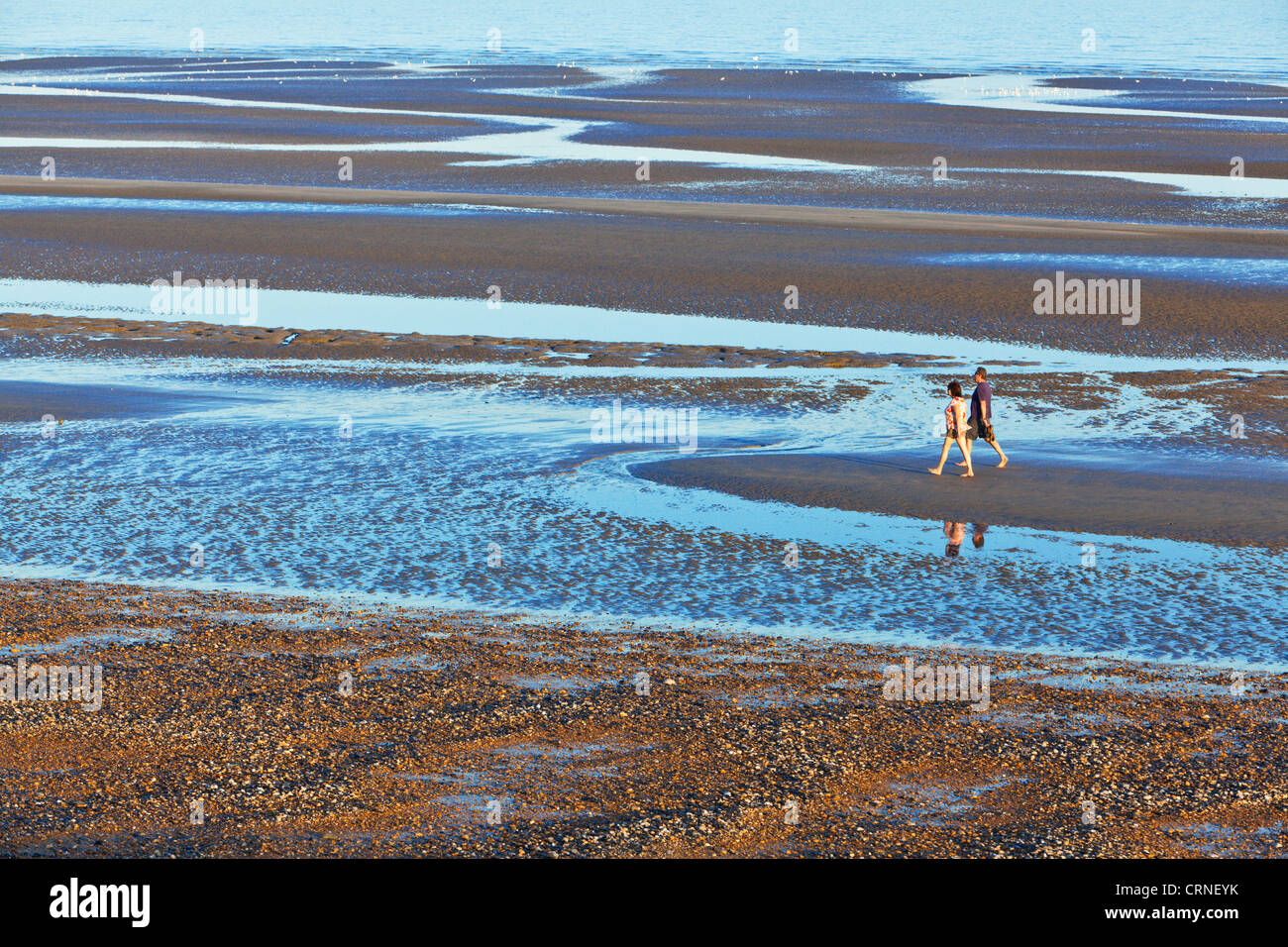 A man and a woman walking together along a sandy beach at low tide. Stock Photo