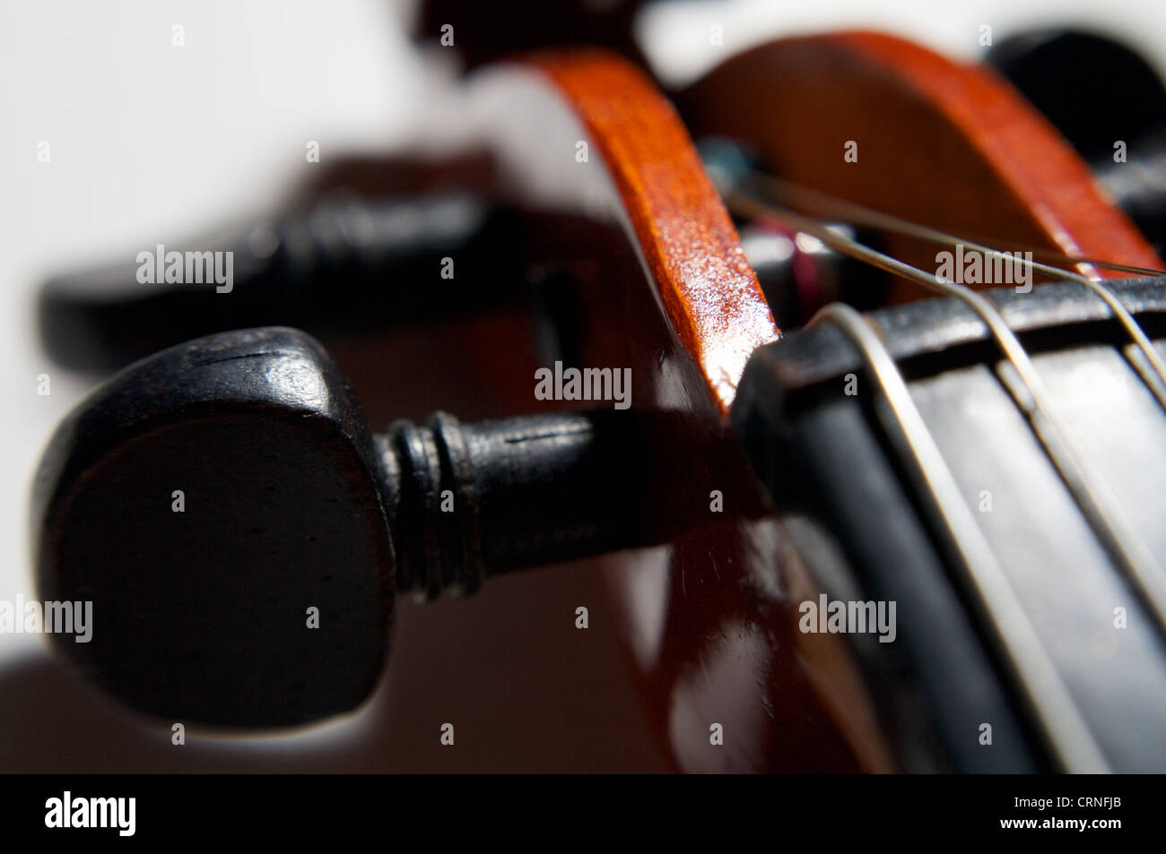 String Instrument Head old violin head and string close-up Stock Photo - Alamy