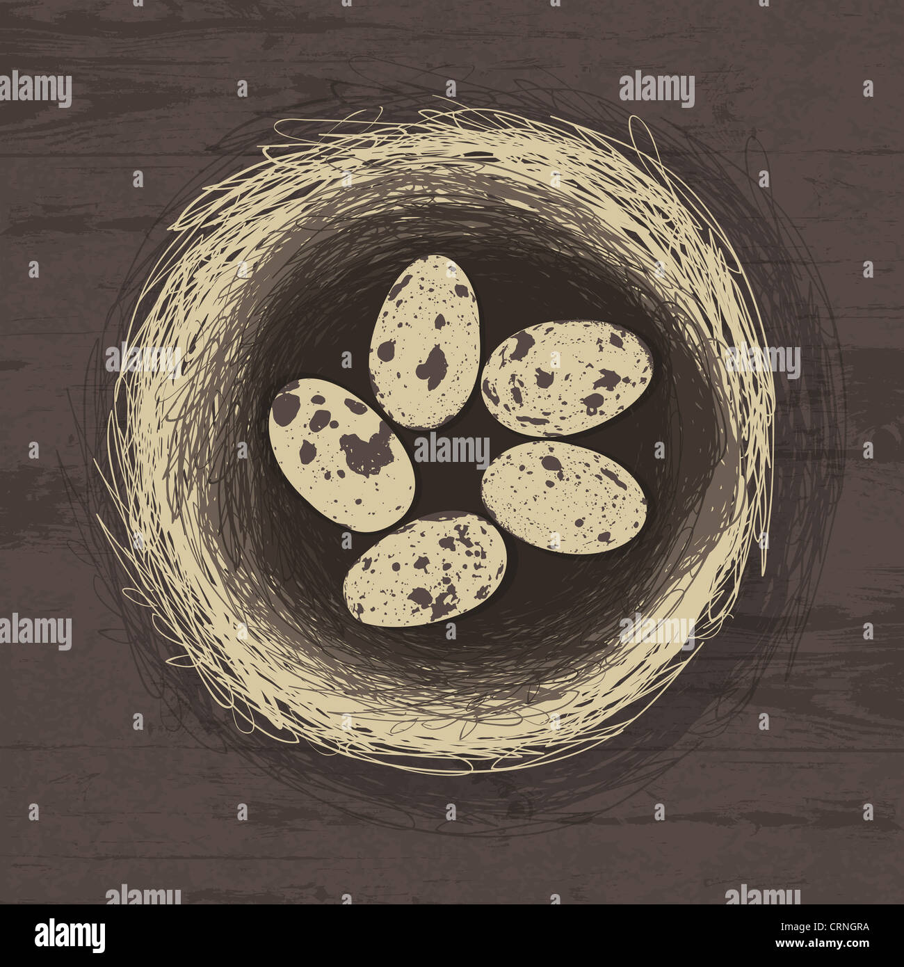 Eggs in nest on wooden texture Stock Photo - Alamy