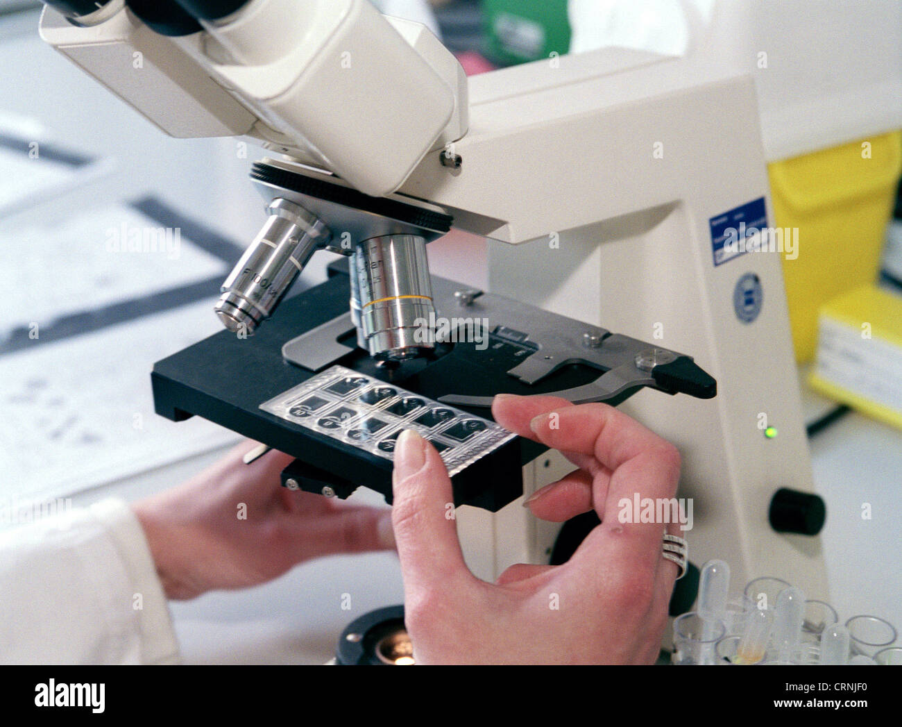Examination of laboratory samples with a microscope Stock Photo Alamy