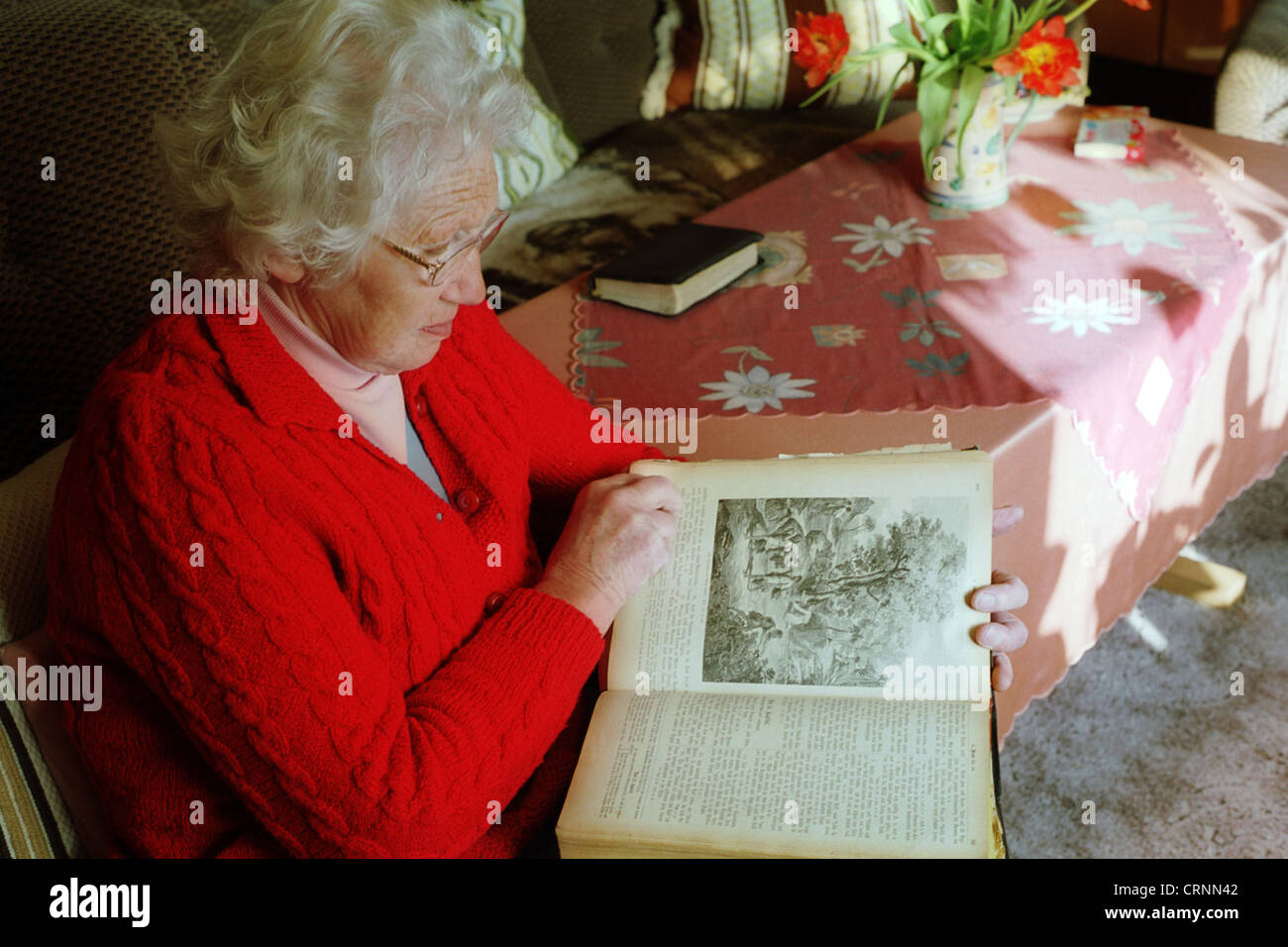 An old woman reading a bible. Stock Photo