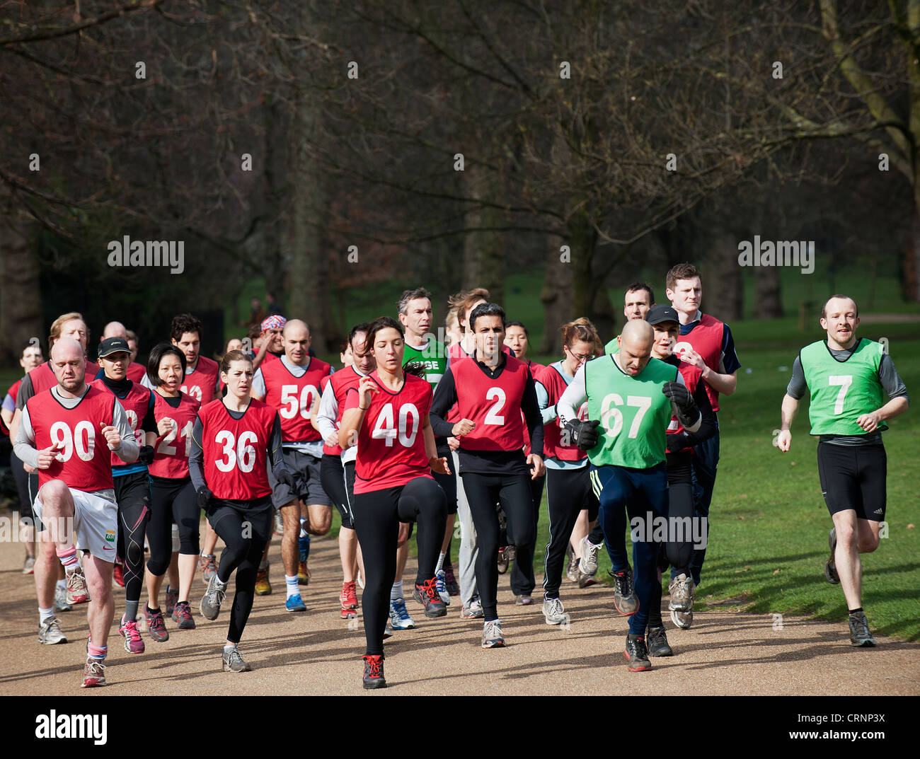 People wearing coloured, numbered bibs exercising in Hyde Park. Stock Photo