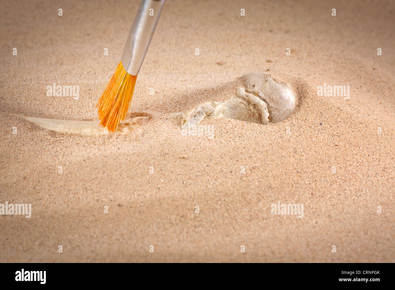 Archeology and forensics bones in sand with brush Stock Photo