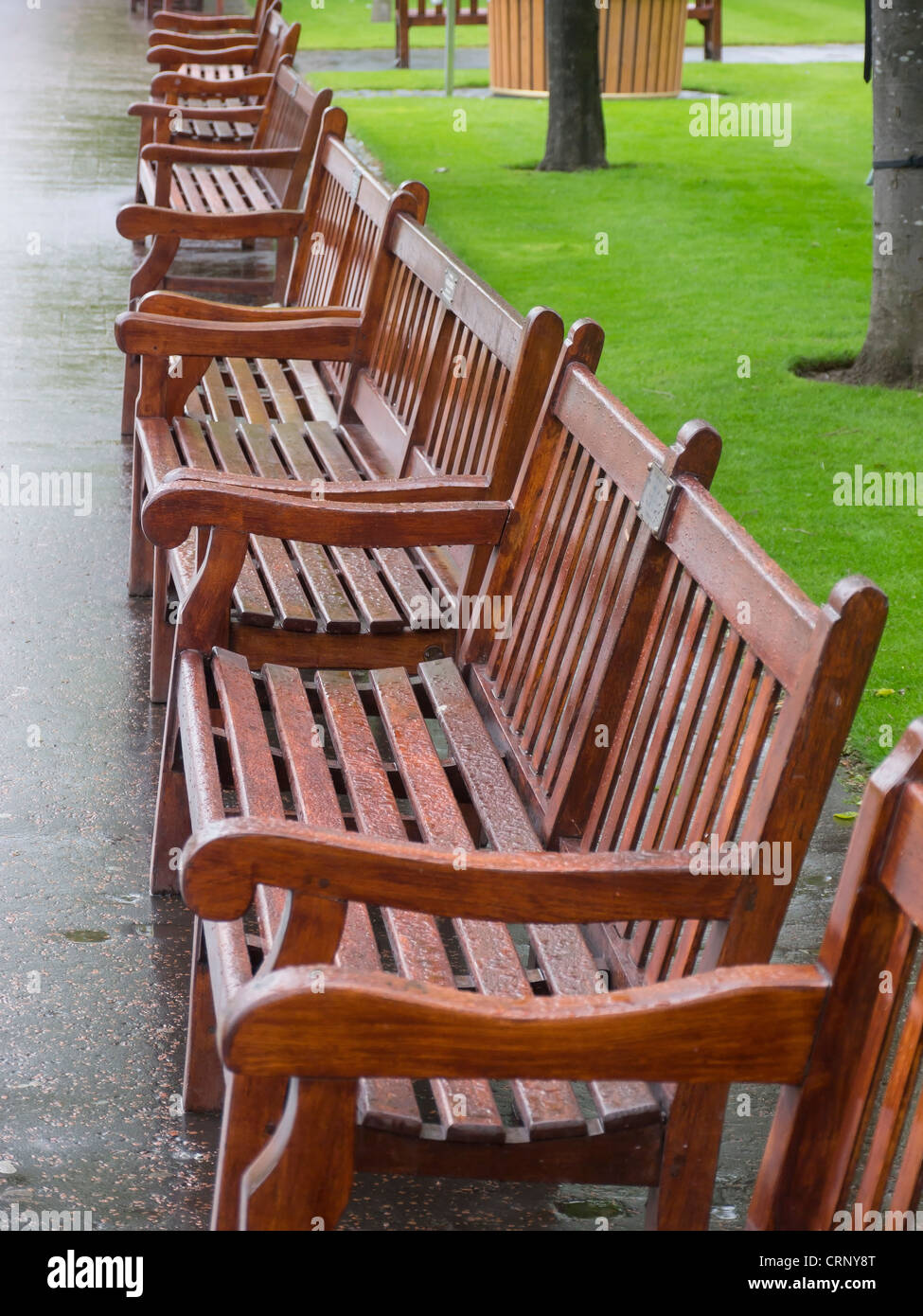 Park benches in the summer rain, in Princes Street gardens, Edinburgh