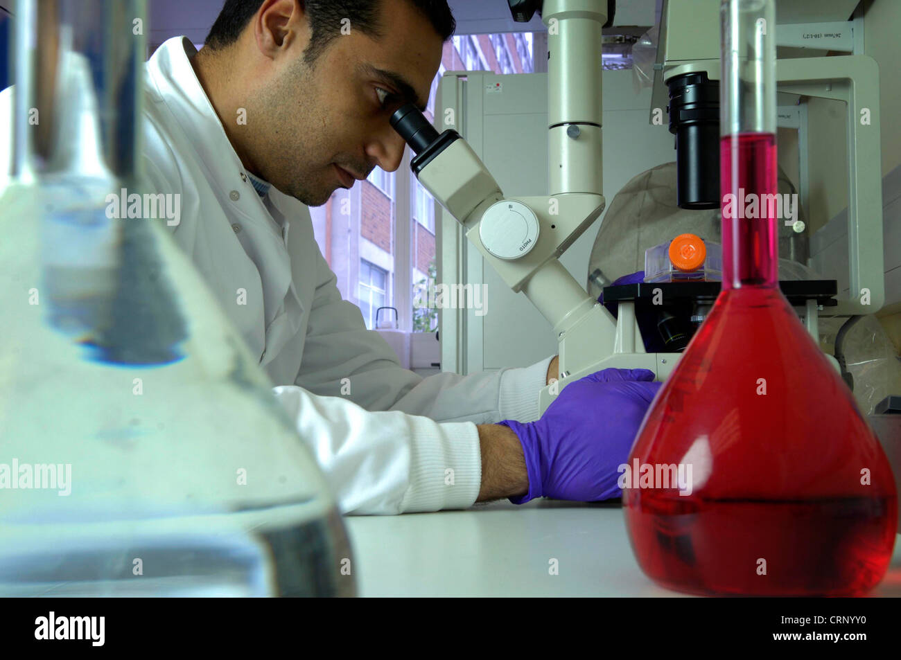 Laboratory Stock Photo