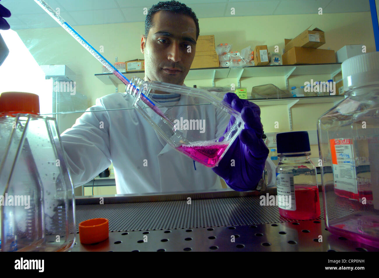 A laboratory technician conducting a chemical experiment inside a ventilation hood to protect against noxious fumes. Stock Photo