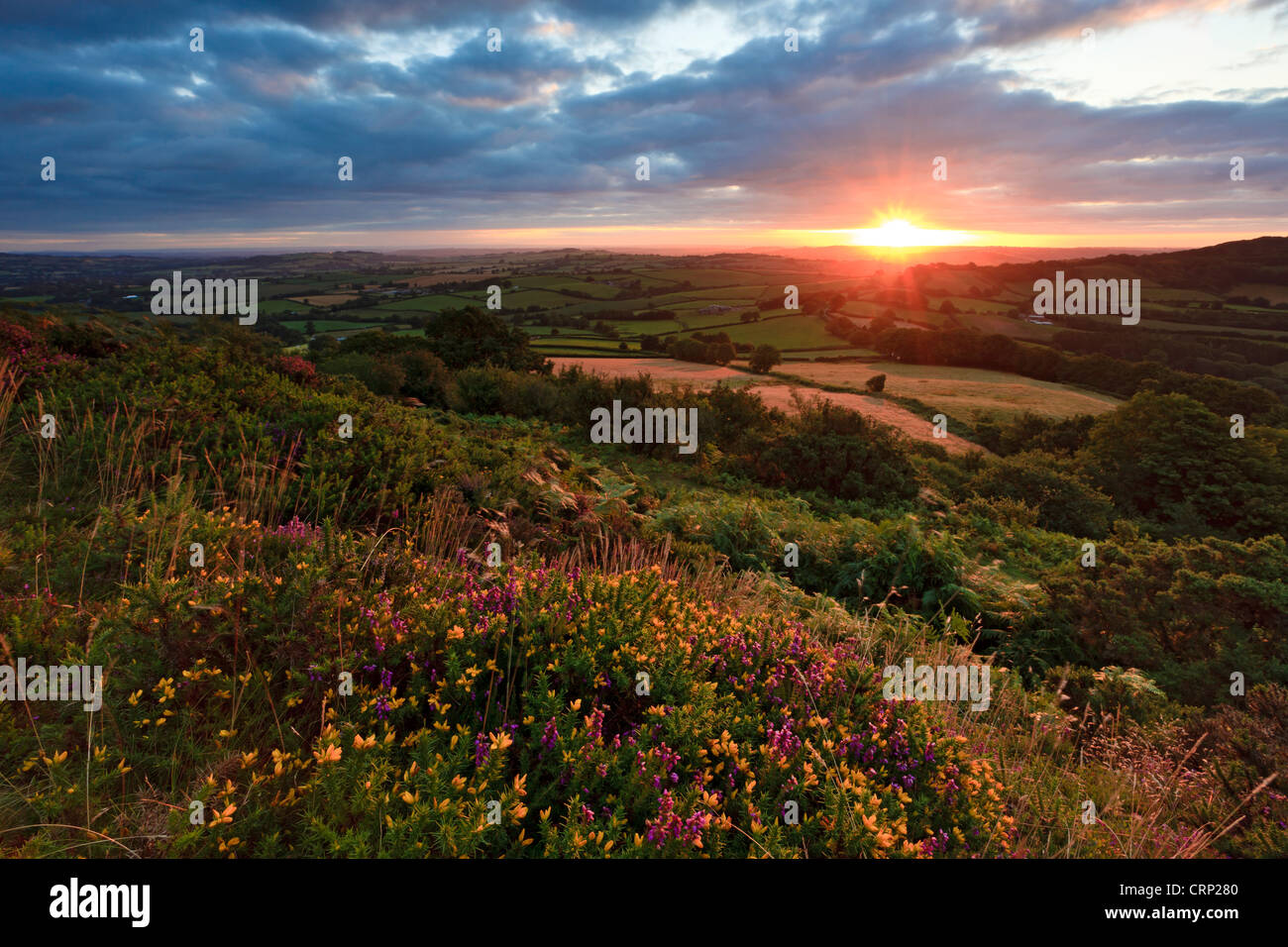 Summer sunrise at Pilsdon Pen, near Beaminster, the second highest point in Dorset. Stock Photo