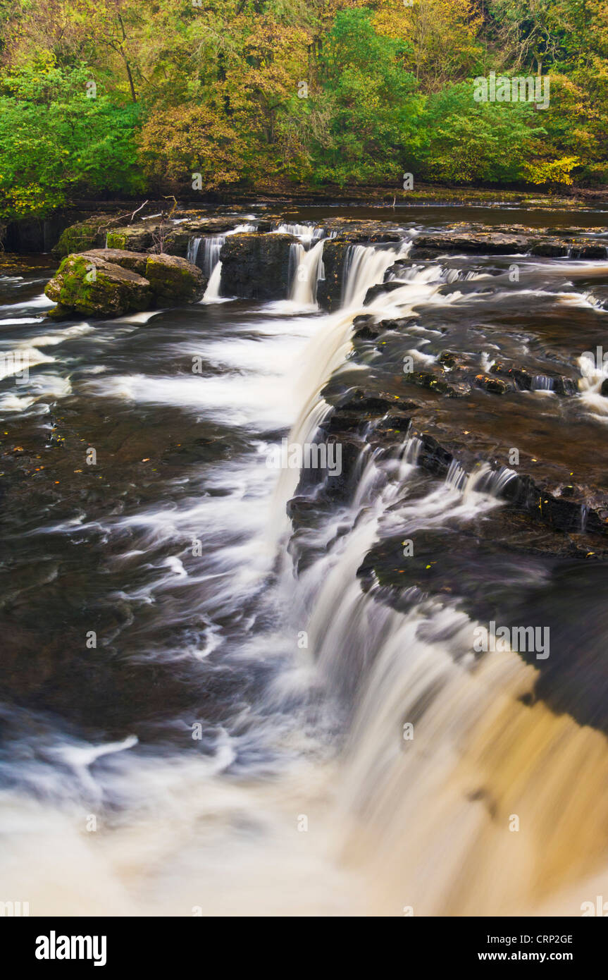 Upper Aysgarth falls on the River Ure with autumn colours Wensleydale Yorkshire Dales national park North Yorkshire England UK GB Europe Stock Photo