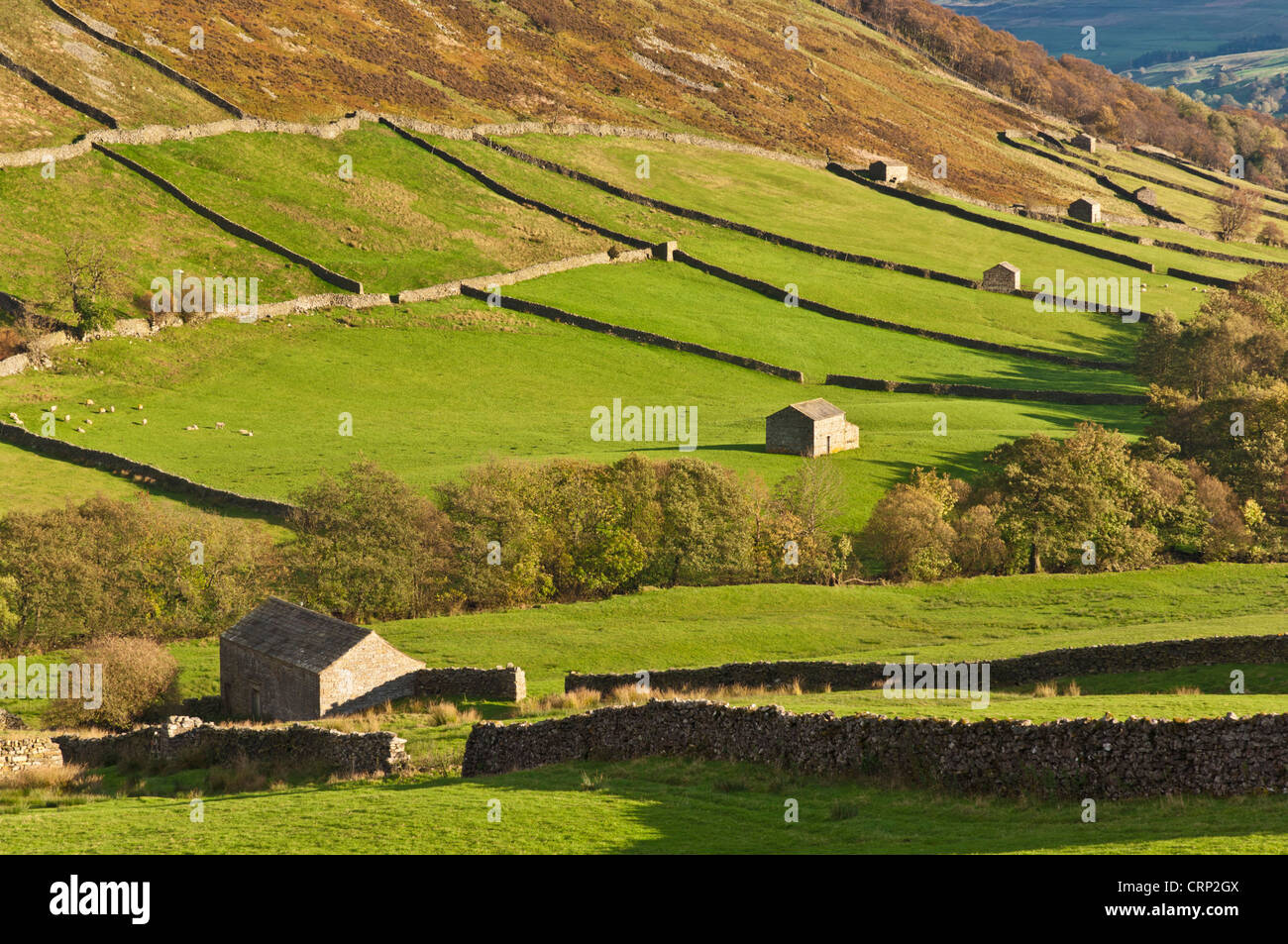 Yorkshire Dales National park Swaledale Yorkshire Traditional Stone