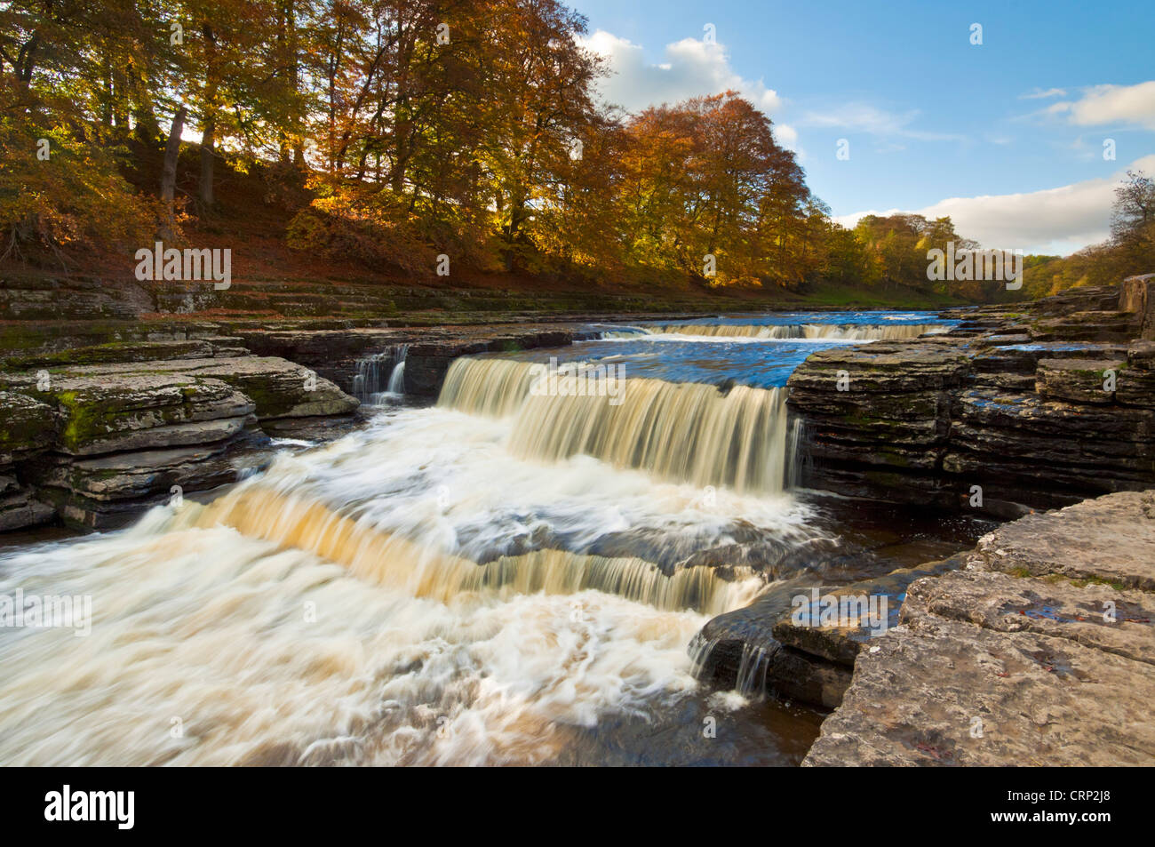 Yorkshire Dales National park Lower Aysgarth falls on the River Ure with autumn colours Wensleydale Yorkshire Dales North Yorkshire England UK GB Stock Photo