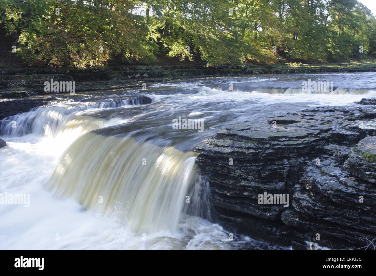 Waterfall (Middle Falls) on River Ure, Aysgarth Falls, Aysgarth, Wensleydale, Yorkshire Dales N.P., North Yorkshire, England, Stock Photo