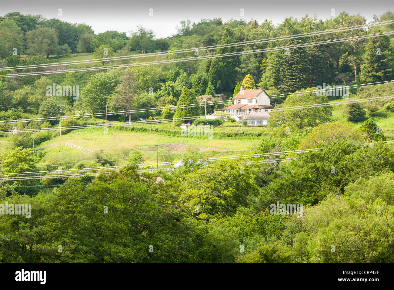 Fishpond Bottom a beautiful Dorset village whose views are blighted by power lines. Stock Photo