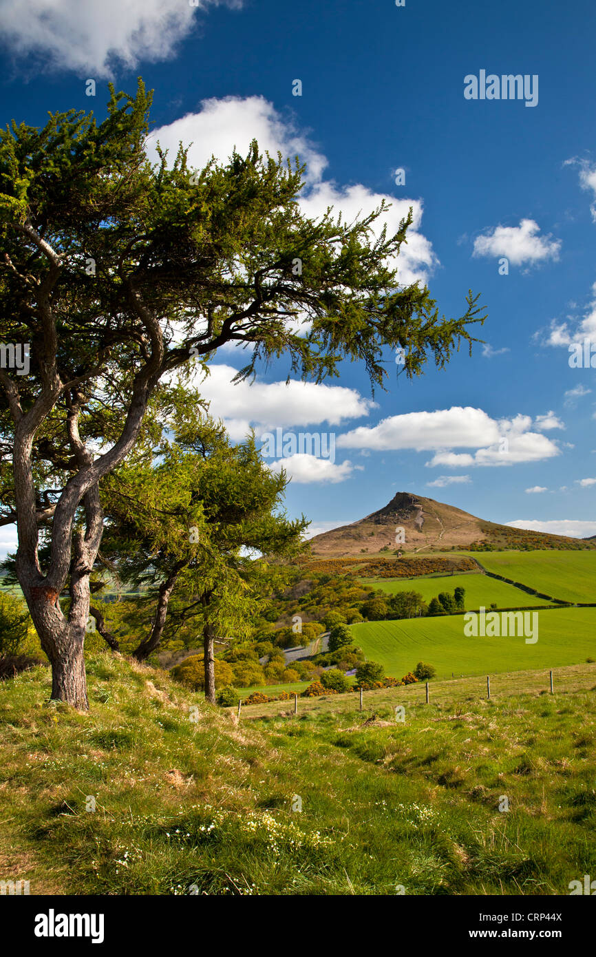 Roseberry Topping, a distinctive hill the shape of which has led to comparisons with the Matterhorn in Switzerland. Stock Photo