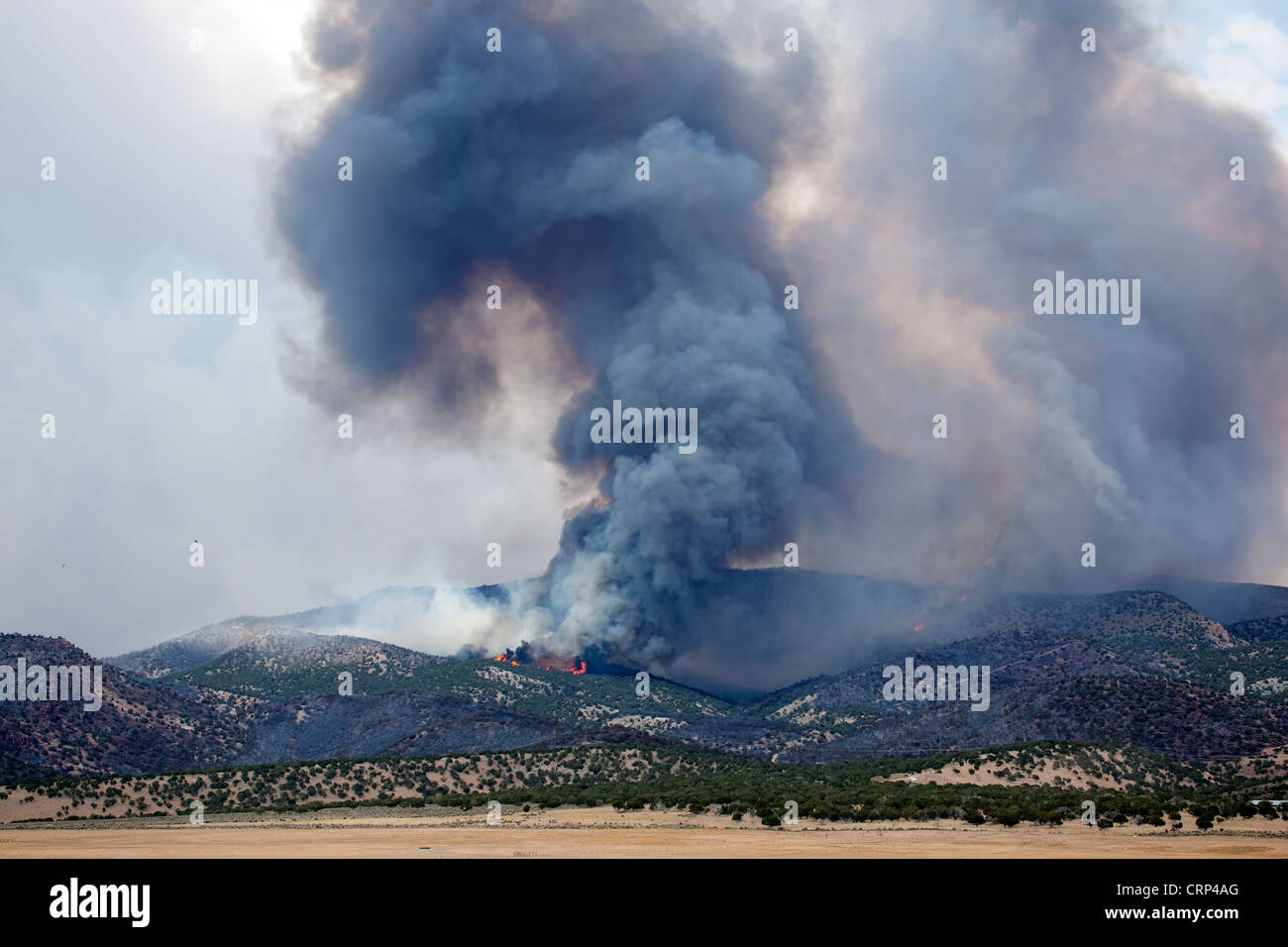 Out of control forest fire hi-res stock photography and images - Alamy
