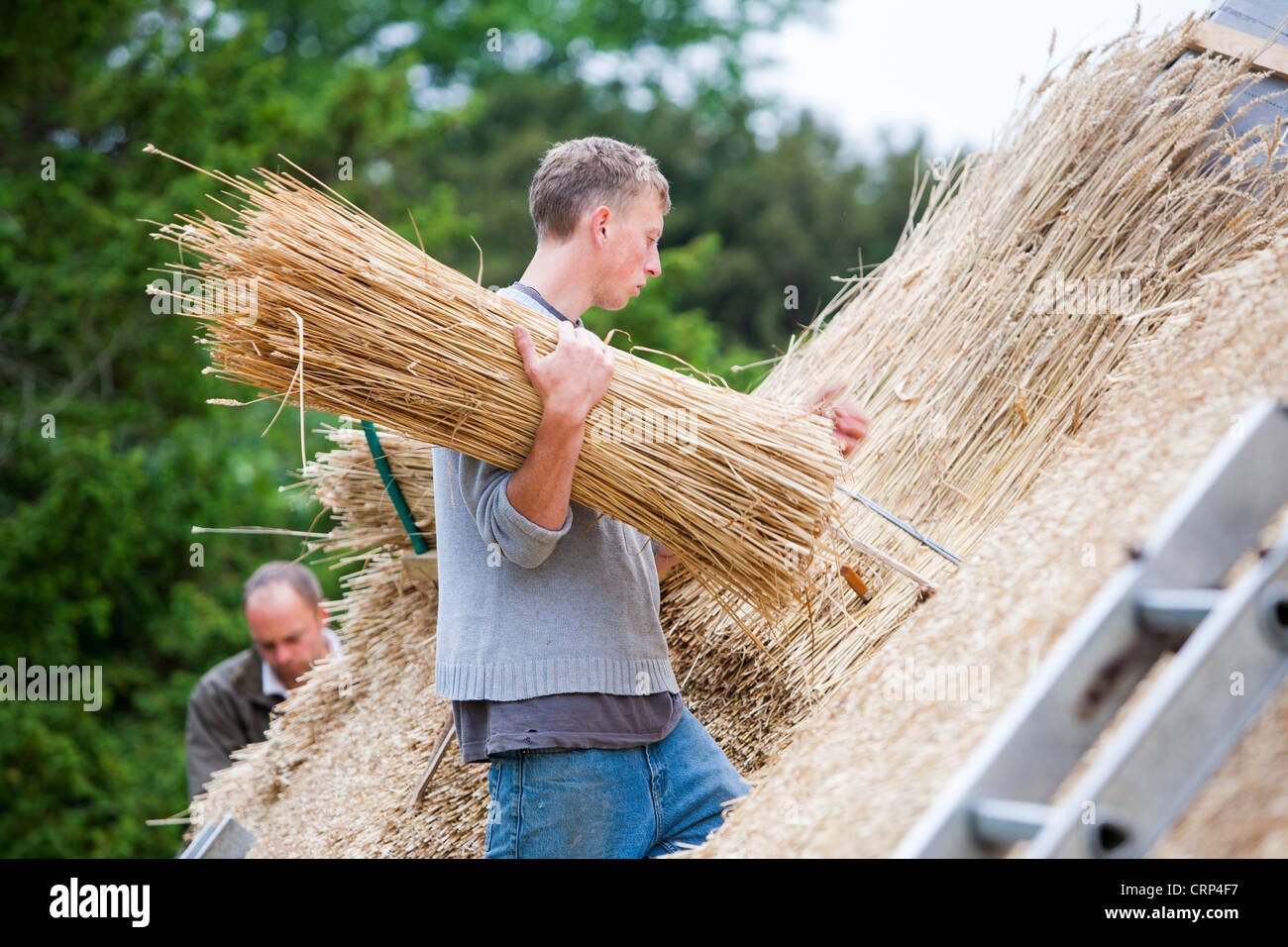 Thatching Material Thatch thatching material straw bundle hi-res stock photography and ...
