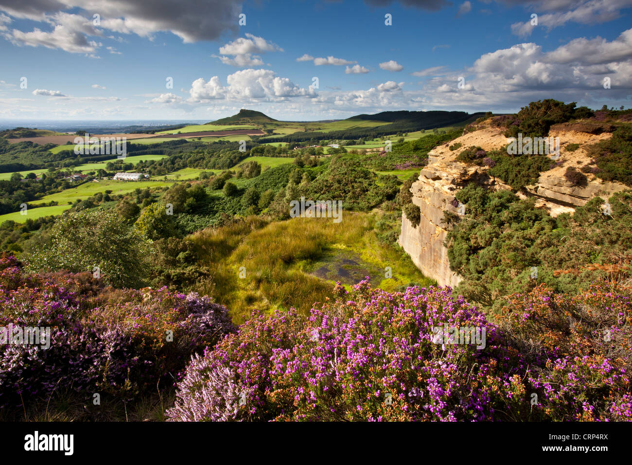 View from Gribdale in the North York Moors National Park towards Roseberry Topping. Stock Photo
