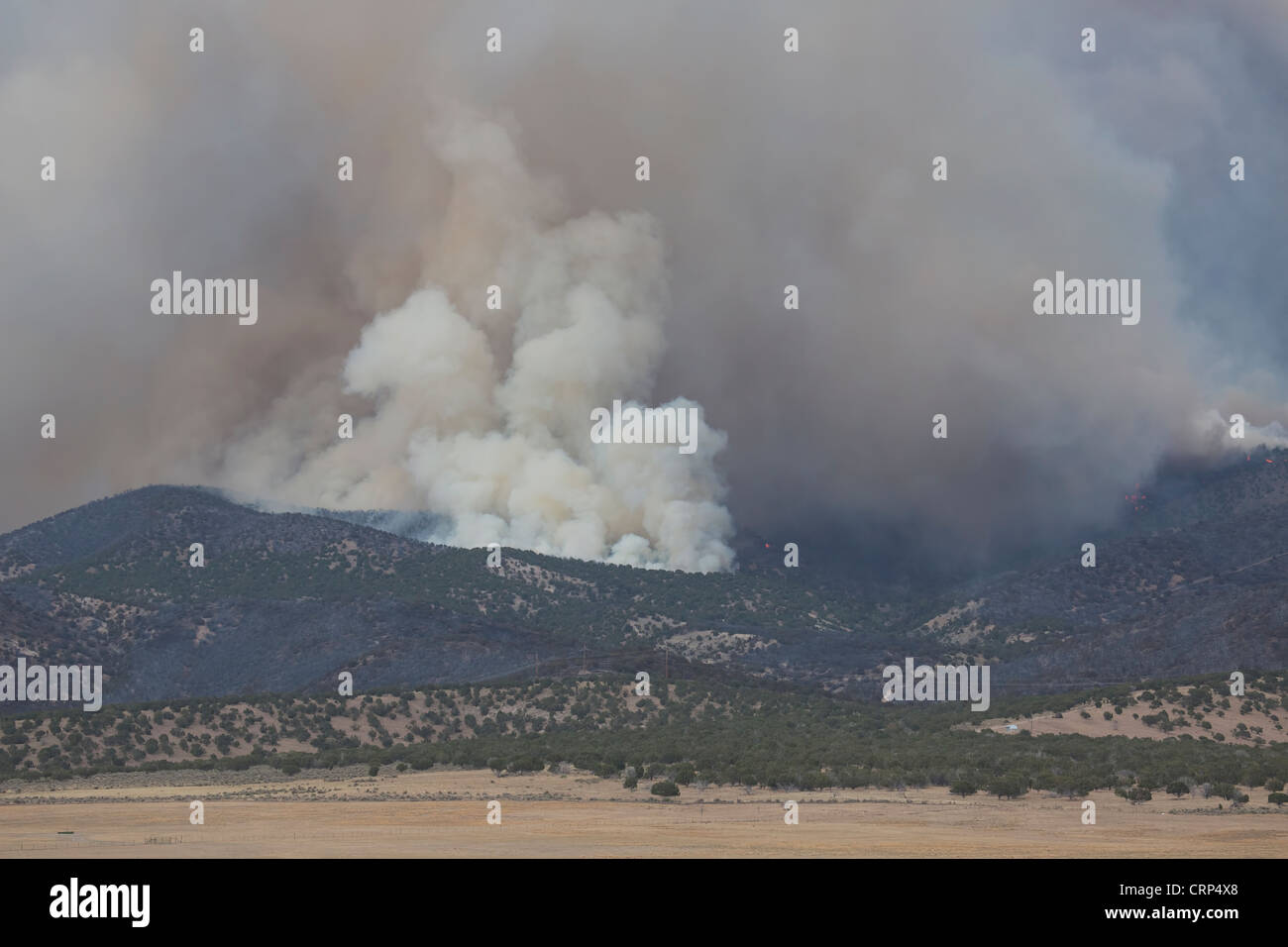 Forest wildfire rages out of control as fire fighters throughout the ...
