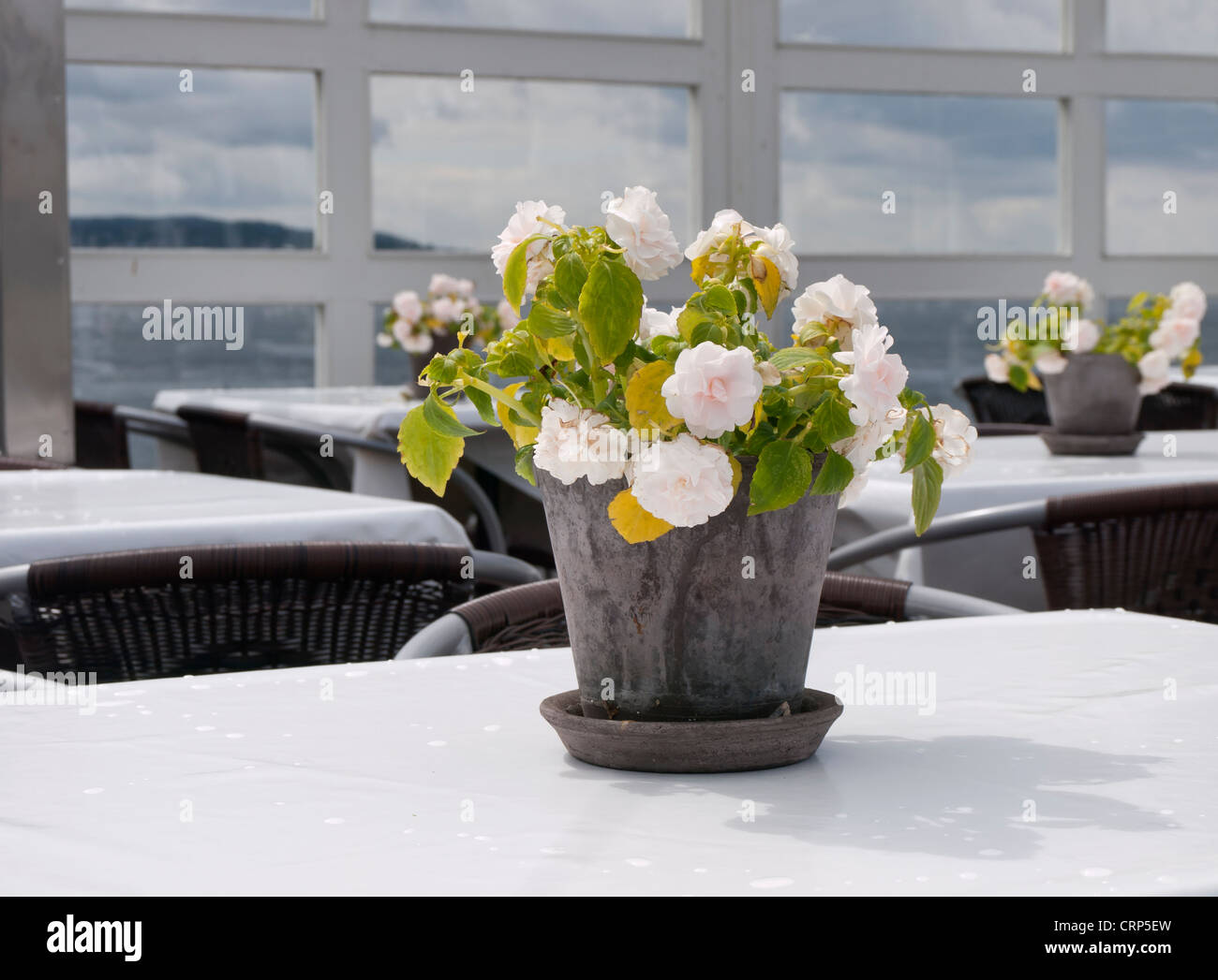 Outdoor restaurant tables with pale pink busy Lizzie in flowerpots and fjord view, Oslo Norway Stock Photo
