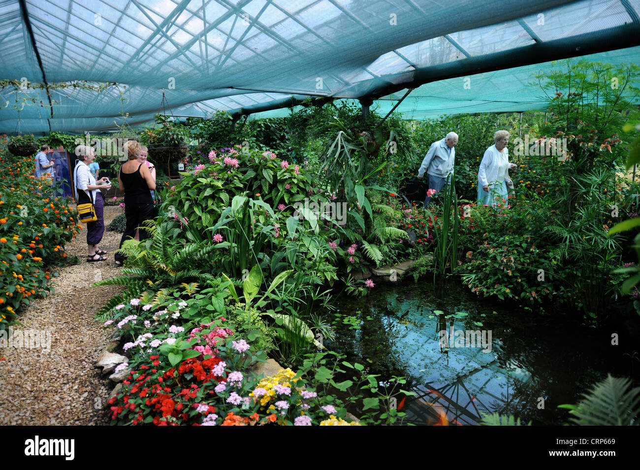 The butterfly house at Berkeley Castle, Gloucestershire UK Stock Photo