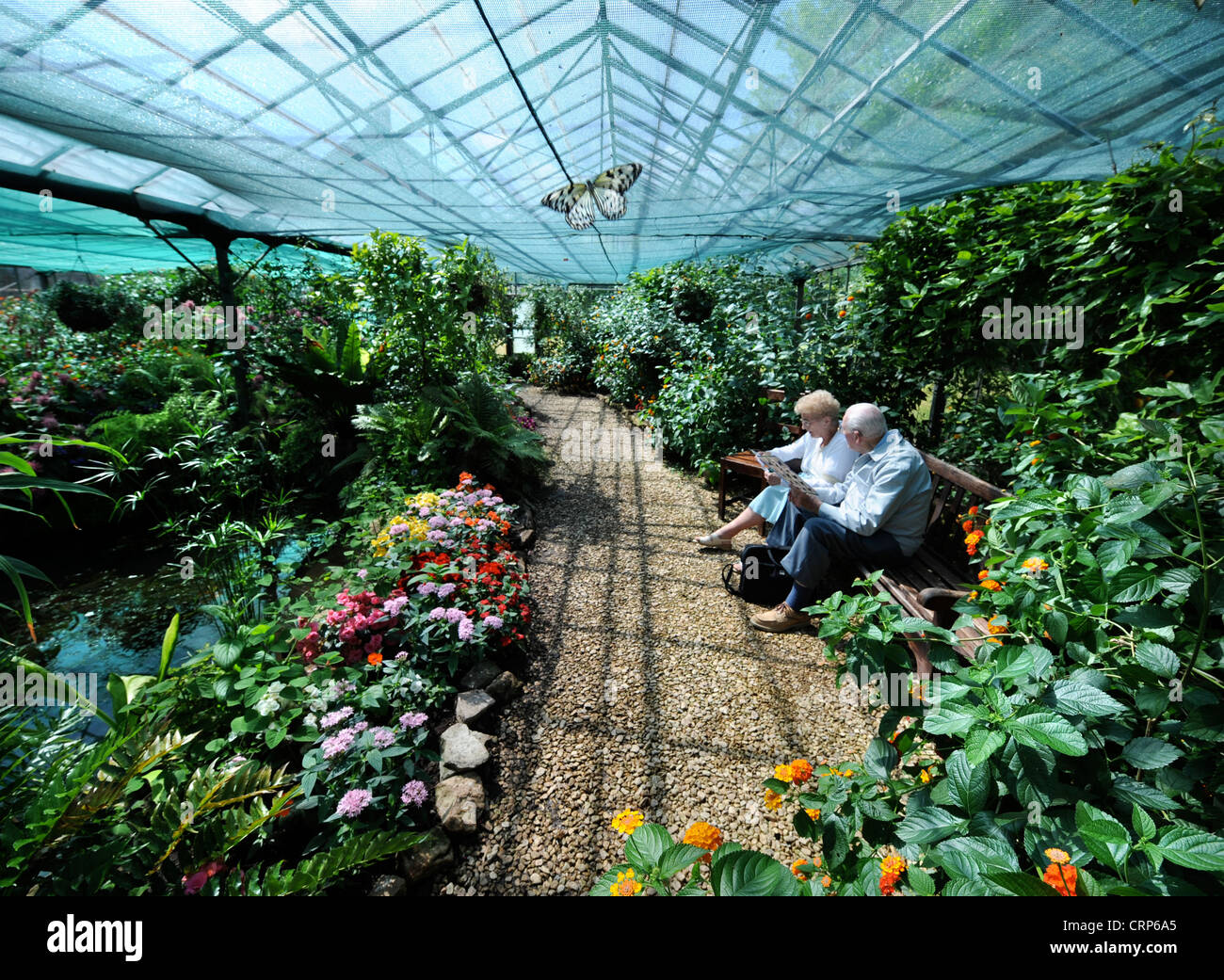 The butterfly house at Berkeley Castle, Gloucestershire UK Stock Photo