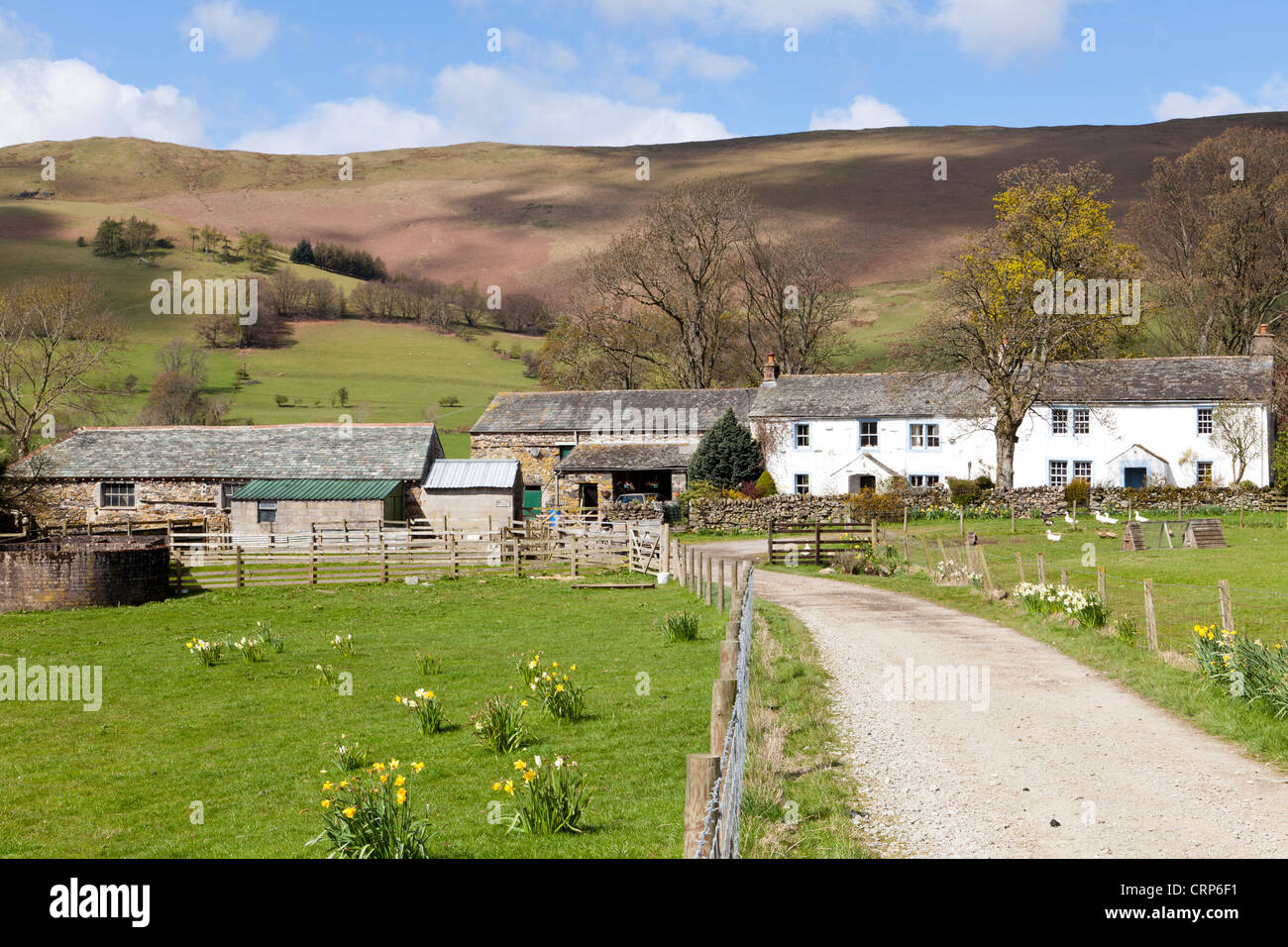 Blake Hills Farm nestling beneath Souther Fell in the Lake District National Park south of Mungrisdale, Cumbria Stock Photo