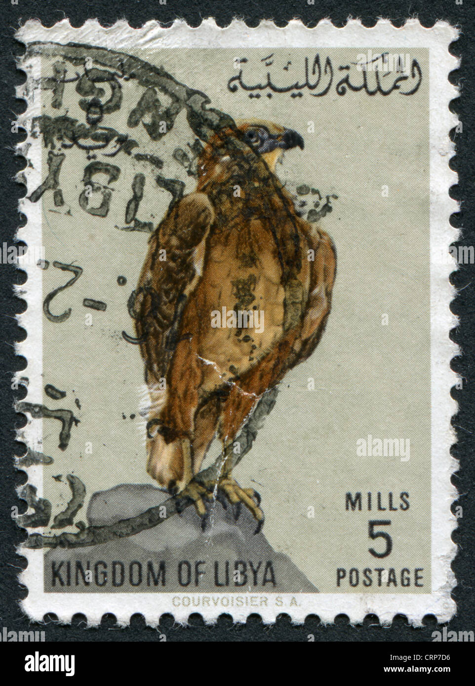 KINGDOM OF LIBYA - CIRCA 1965: Postage stamps printed in Libya, shows a Long-legged Buzzard (Buteo rufinus), circa 1965 Stock Photo