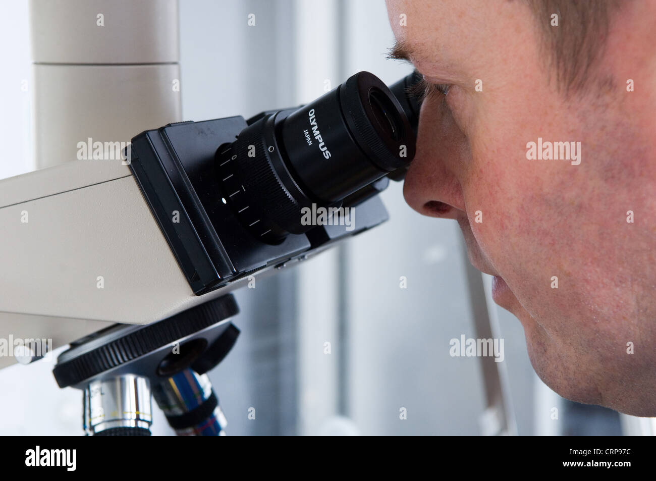A doctor checks a sperm sample under a microscope. Stock Photo