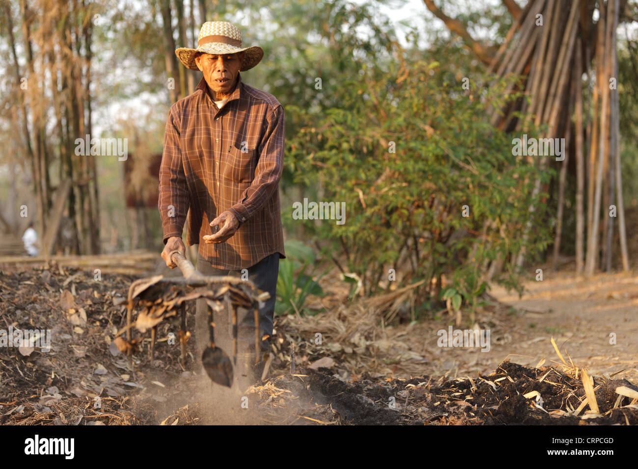 Farmers Raking Farmer raking leaves in hi-res stock photography and images - Alamy