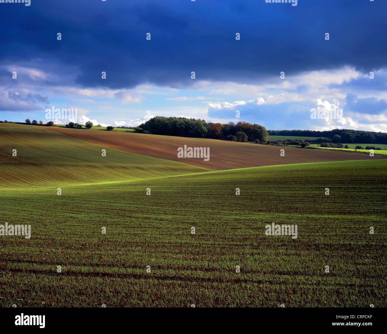 Rays of sunlight lighting an arable field in the rolling Gloucestershire countryside. Stock Photo