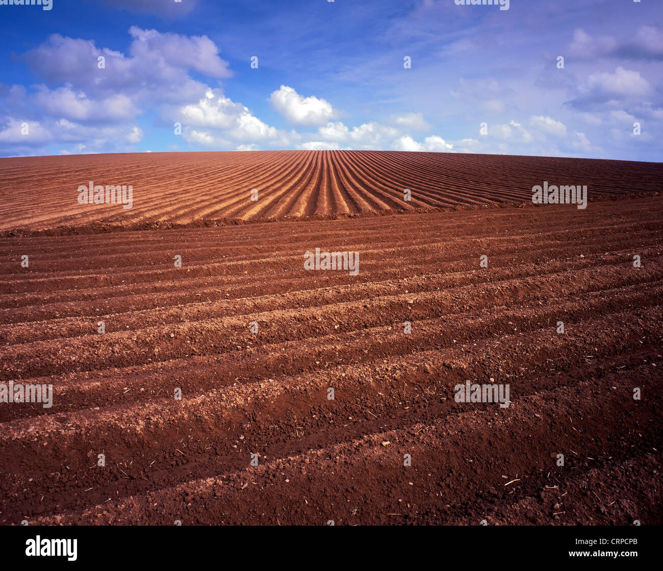 A freshly ploughed field in the rolling hills of North Wales. Stock Photo
